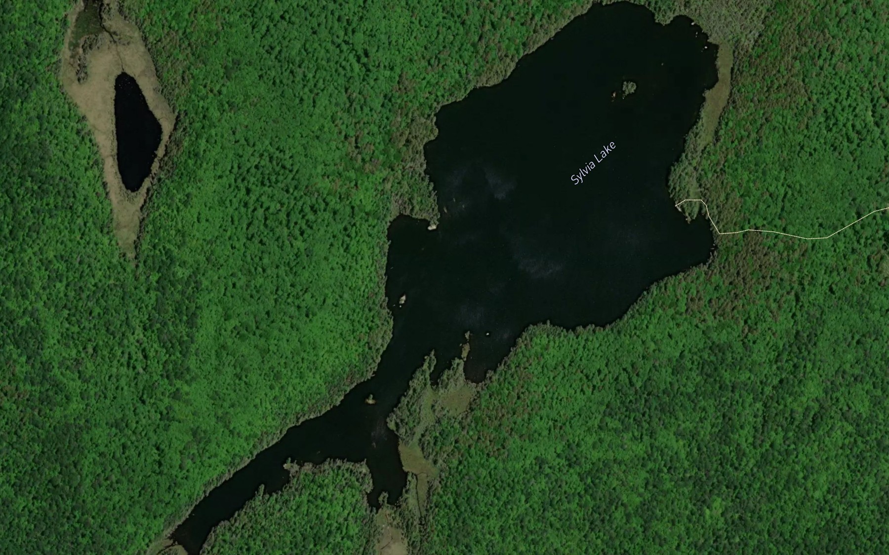 Satellite map of the Sylvia Lake