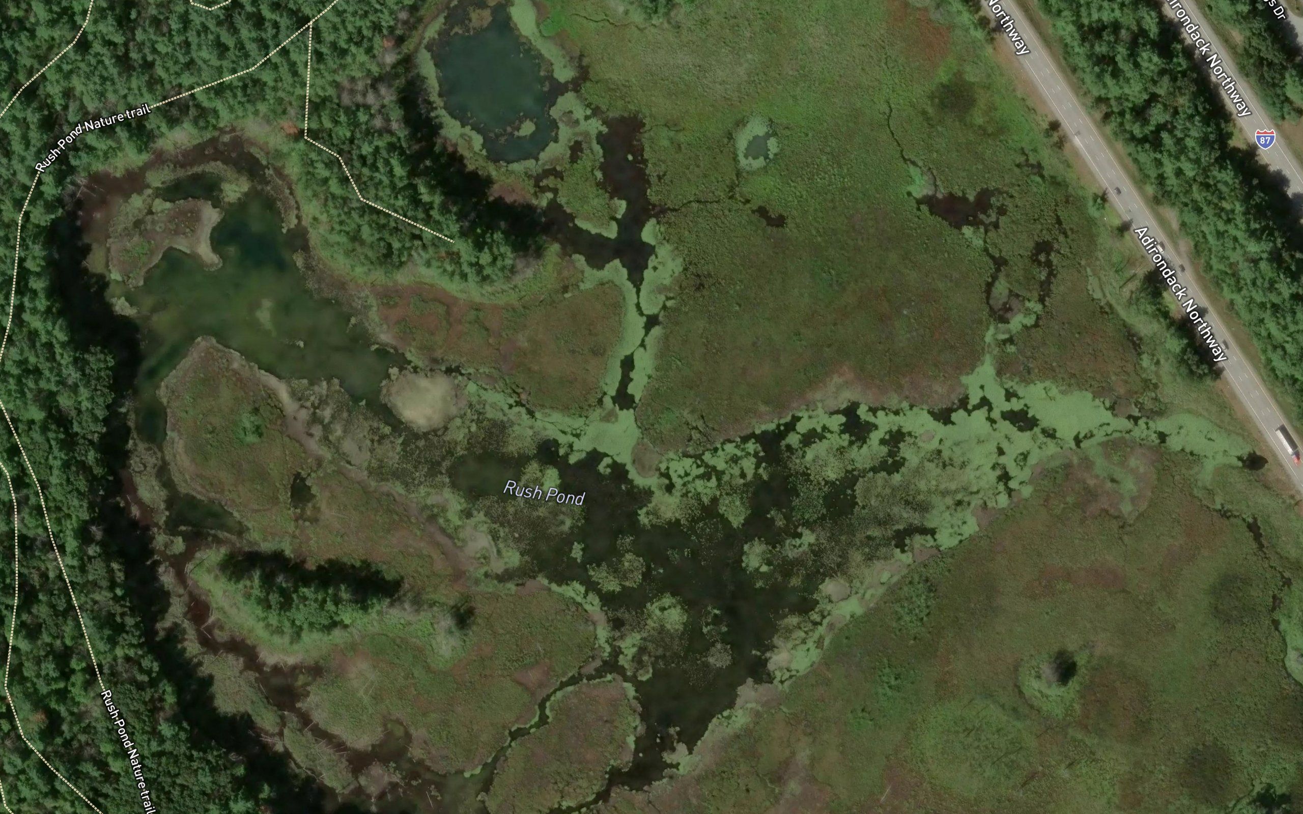 Rush Pond