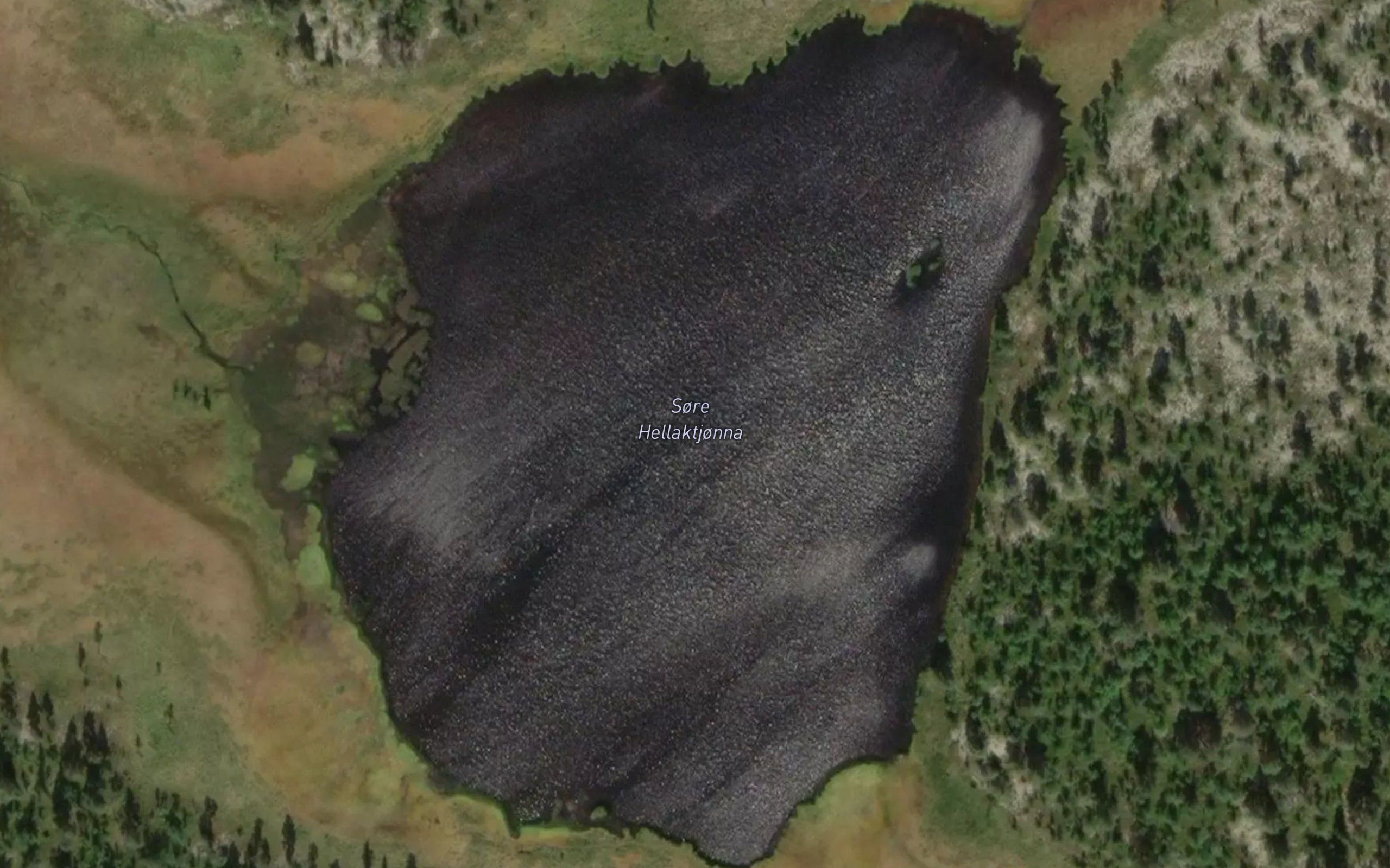 Sore Hellaktjonna