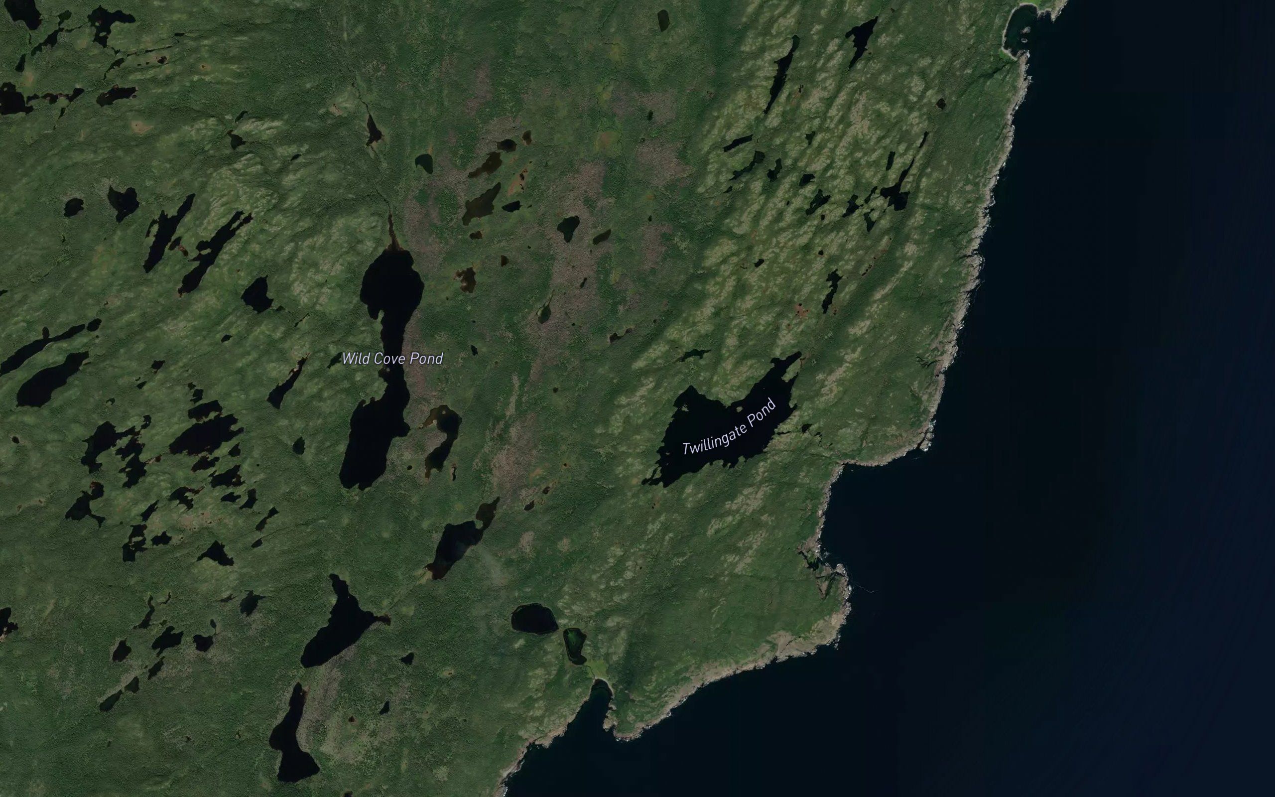 Twillingate Pond