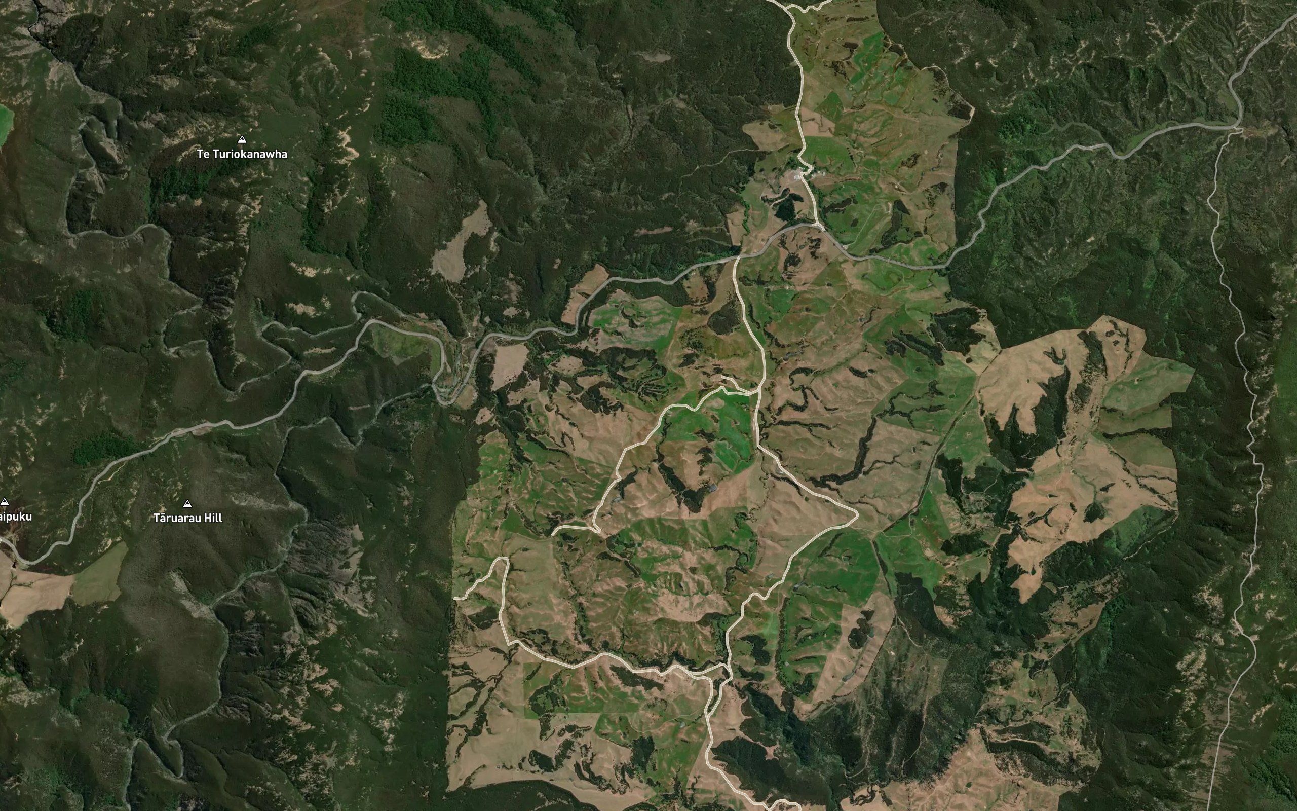 Timahanga Stream