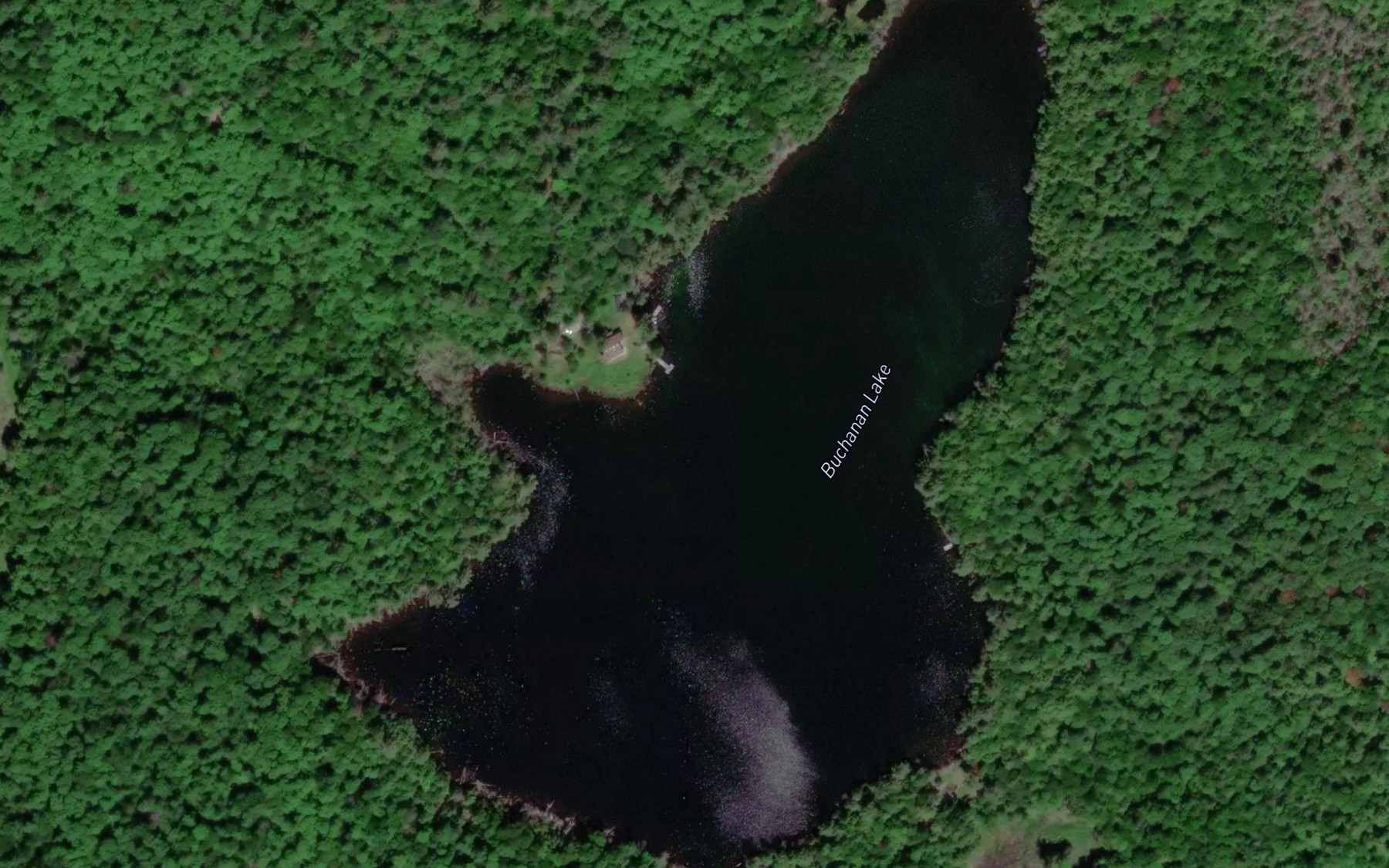 Satellite map of the Buchanan Lake