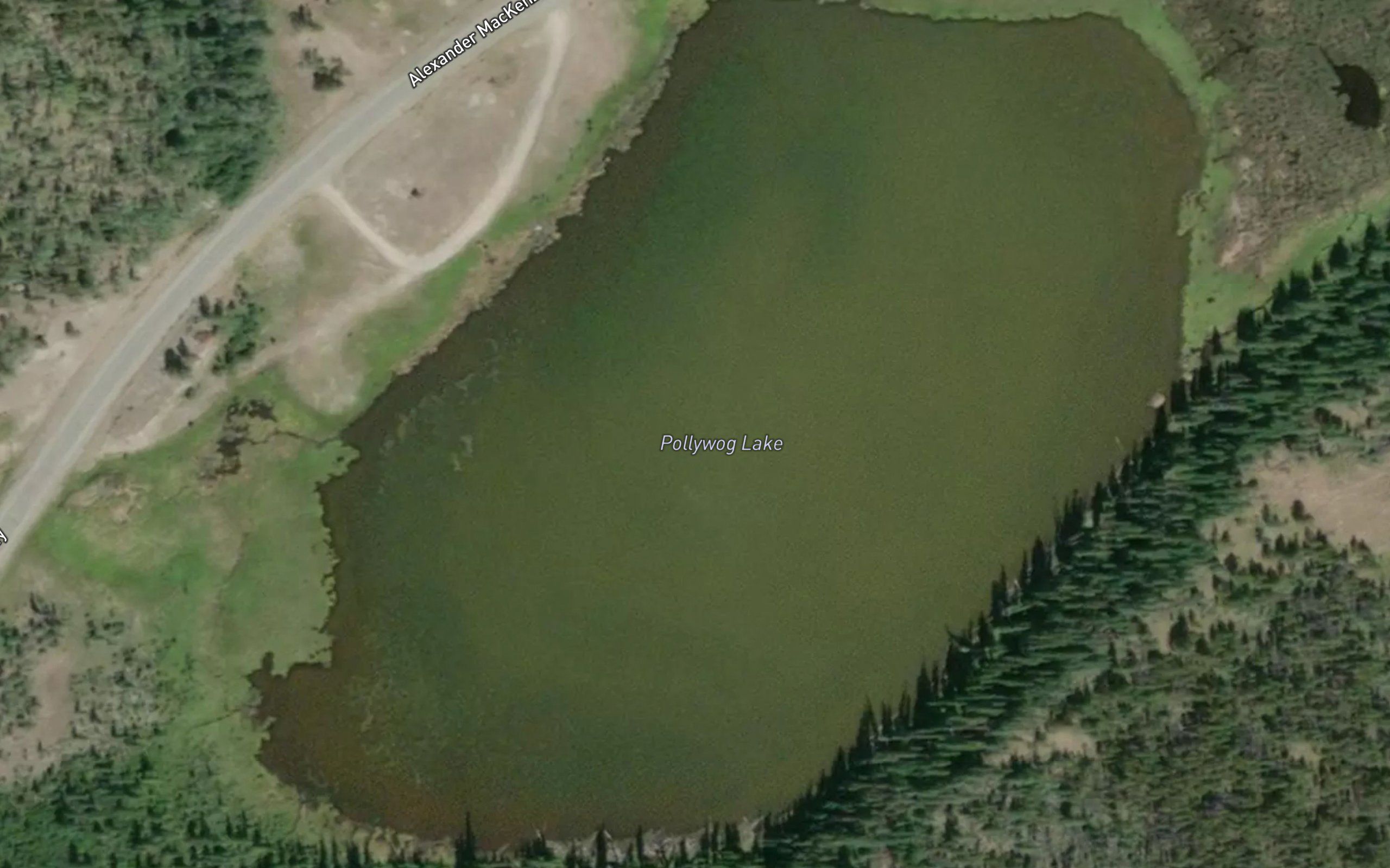 Pollywog Lake