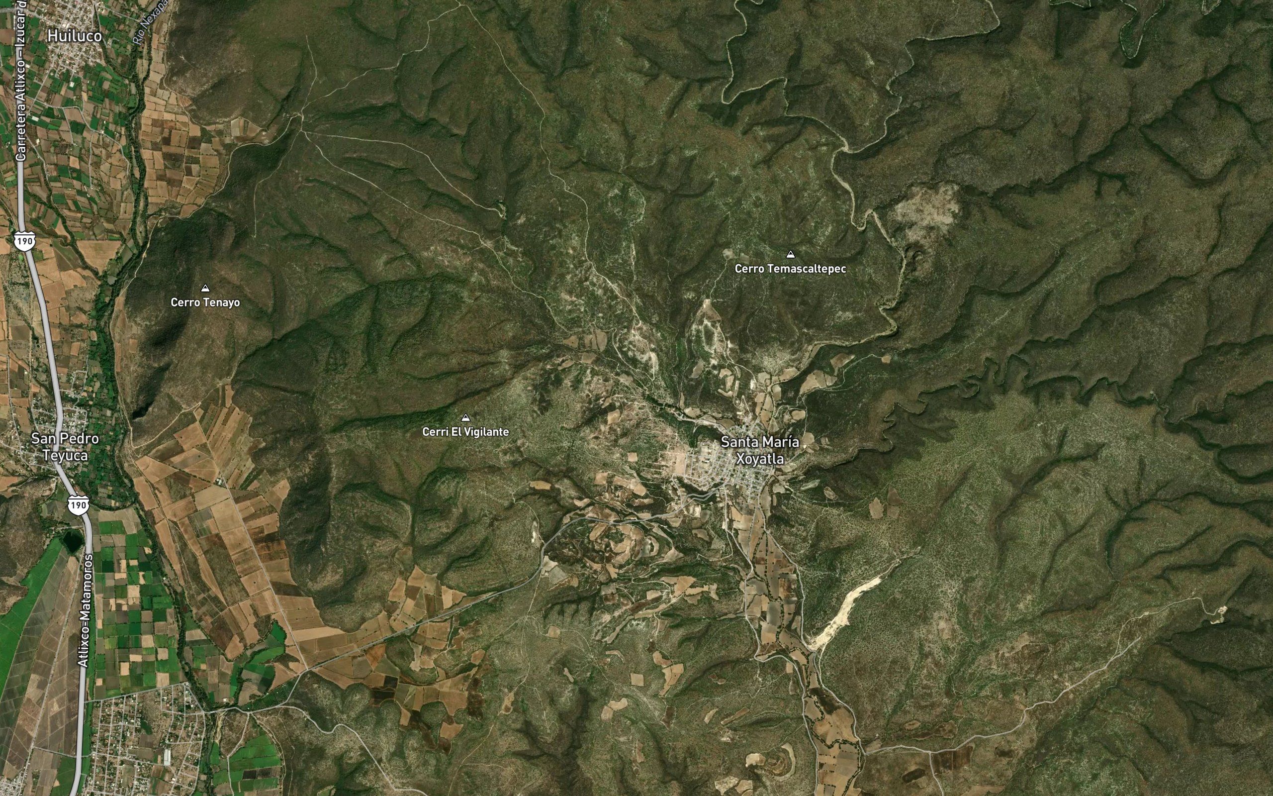 El Ahuehuete
