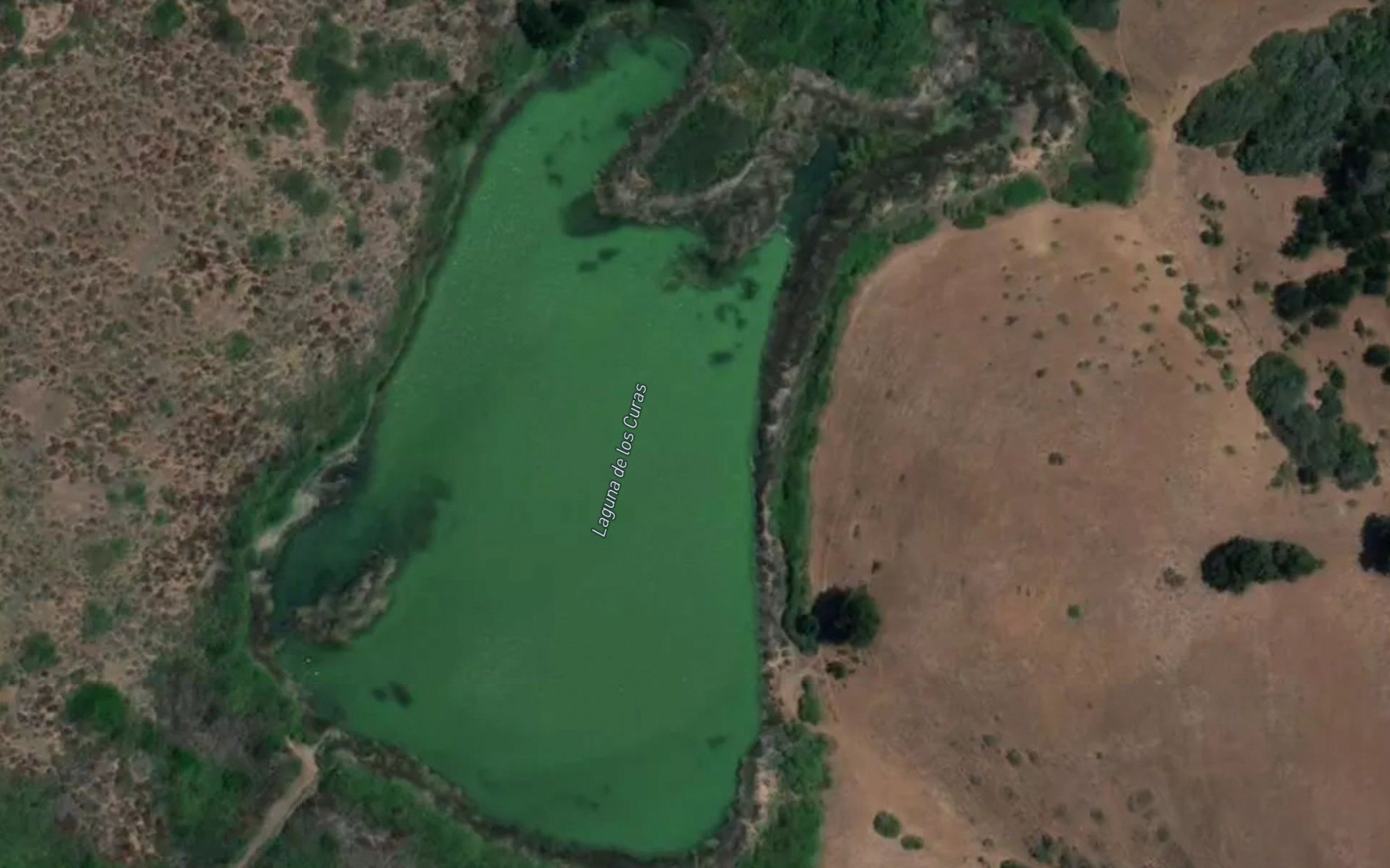 Laguna de Los Lobos