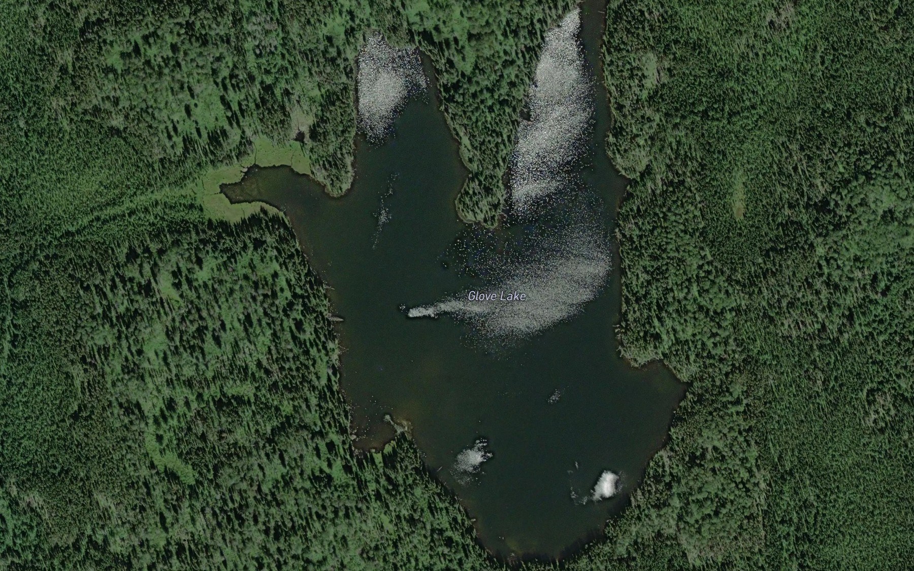 Satellite map of the Glove Lake