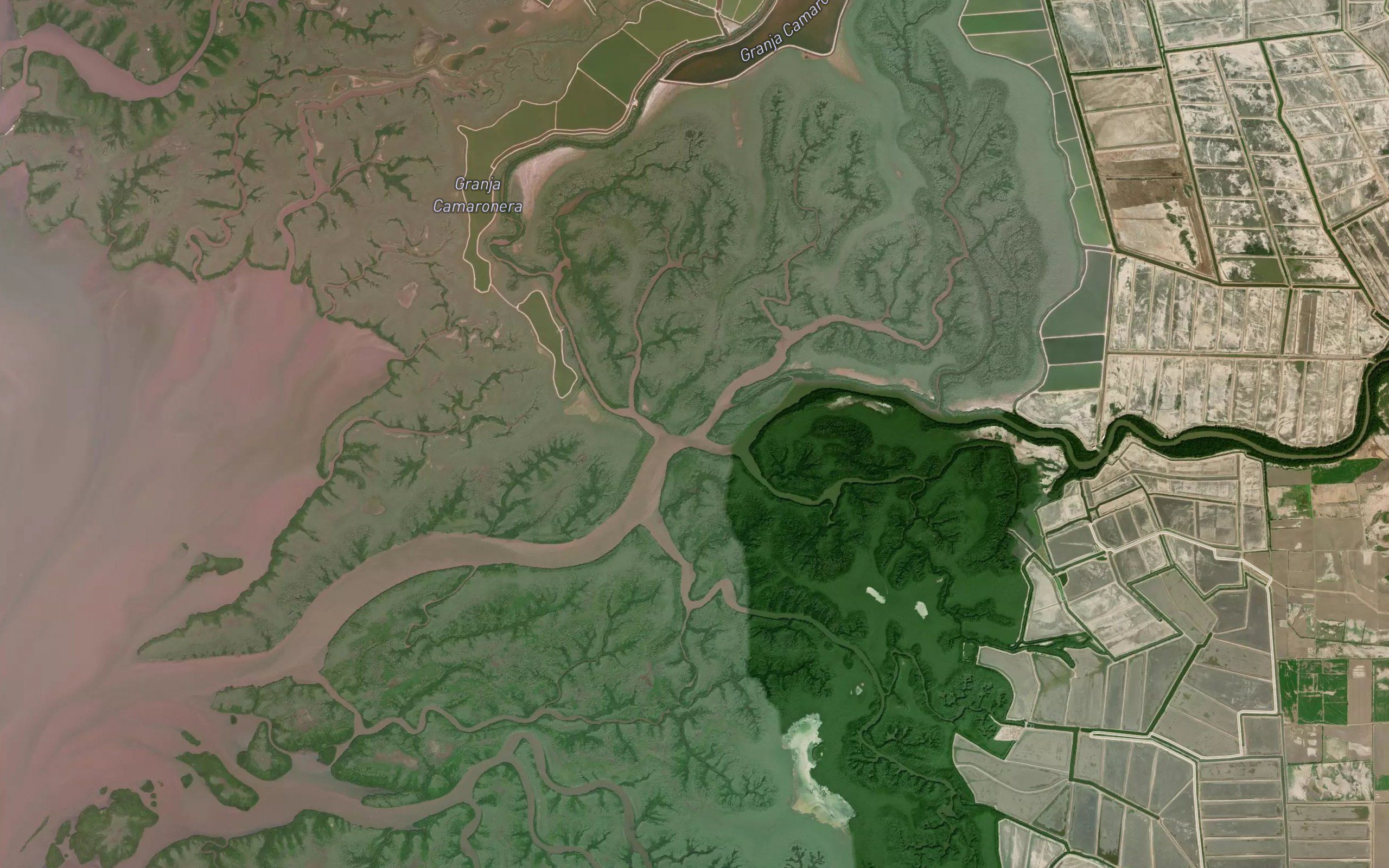 Estero Rico