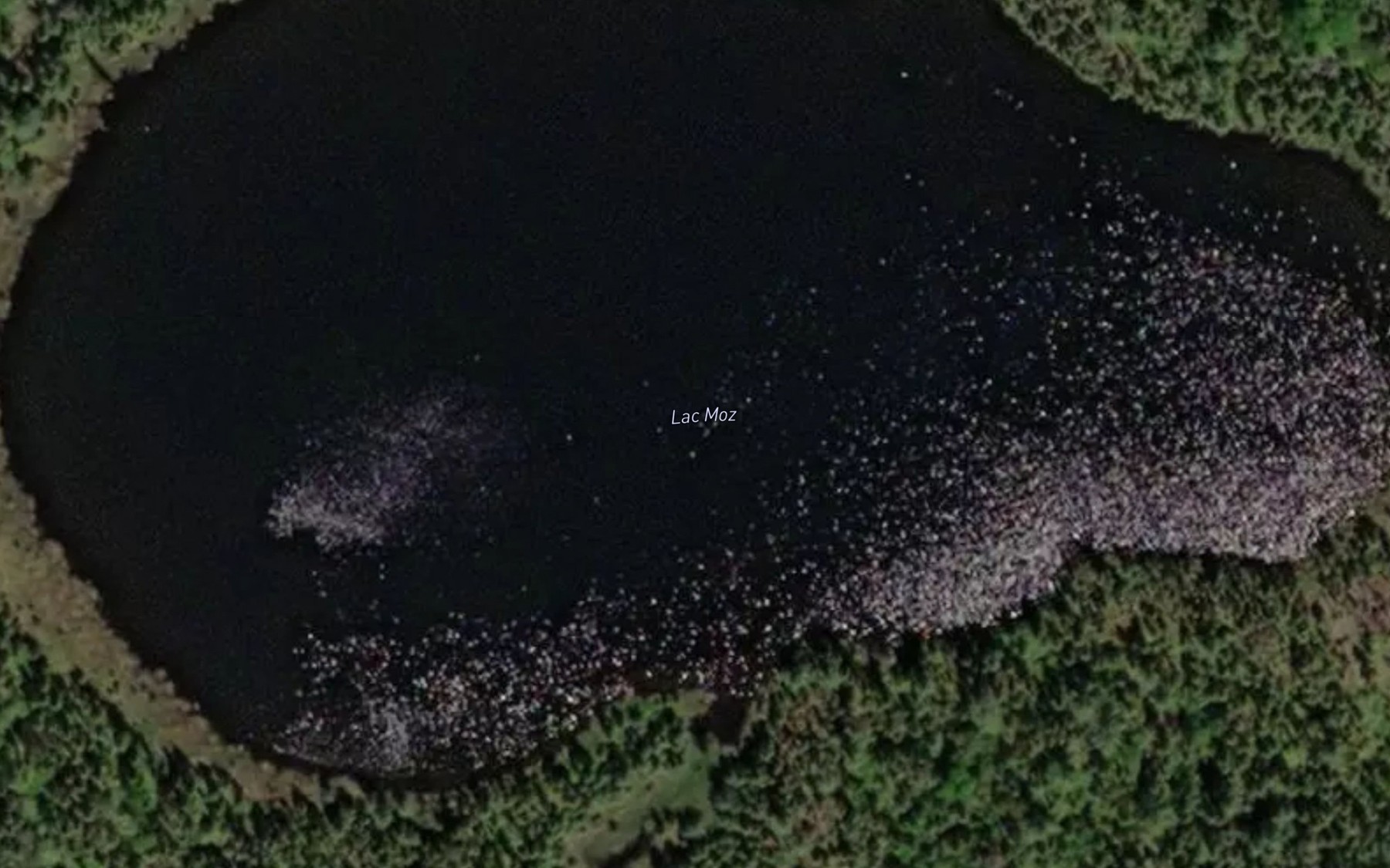 Satellite map of the Lac Moz