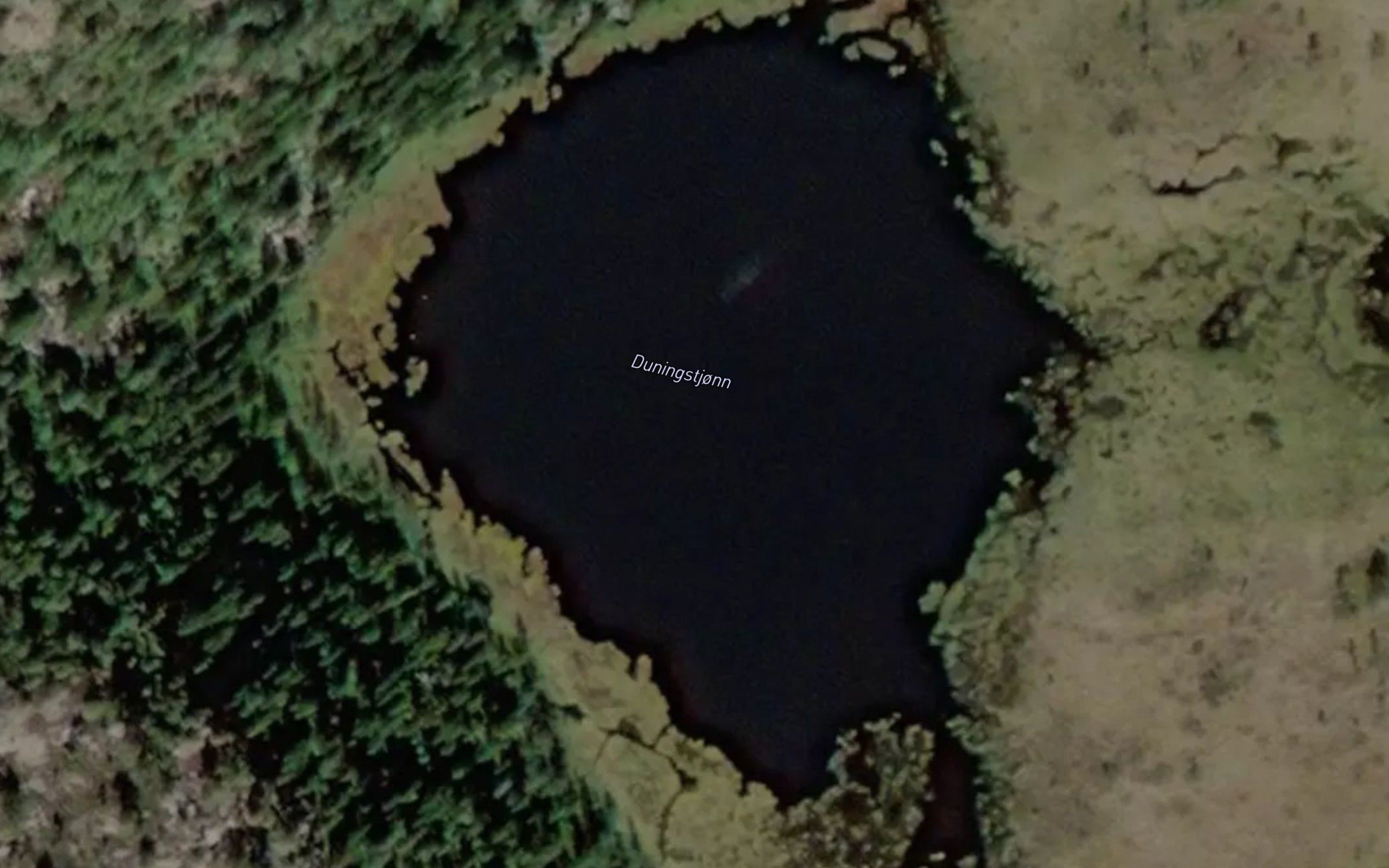 Duningstjonn