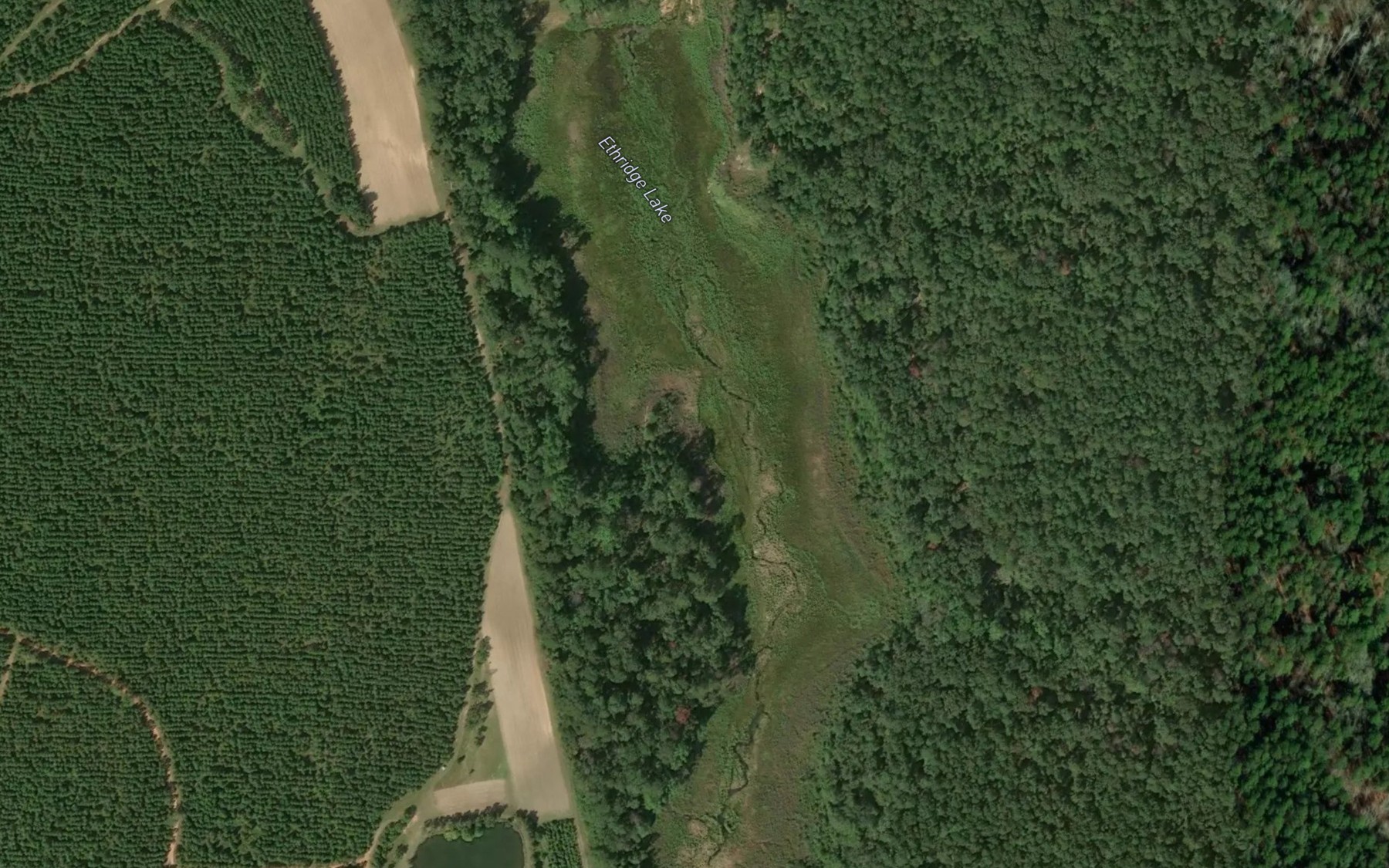 Satellite map of the Ethridge Lake