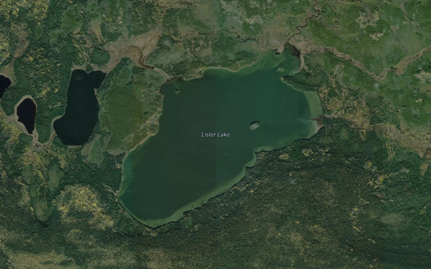 Satellite map of the Lister Lake