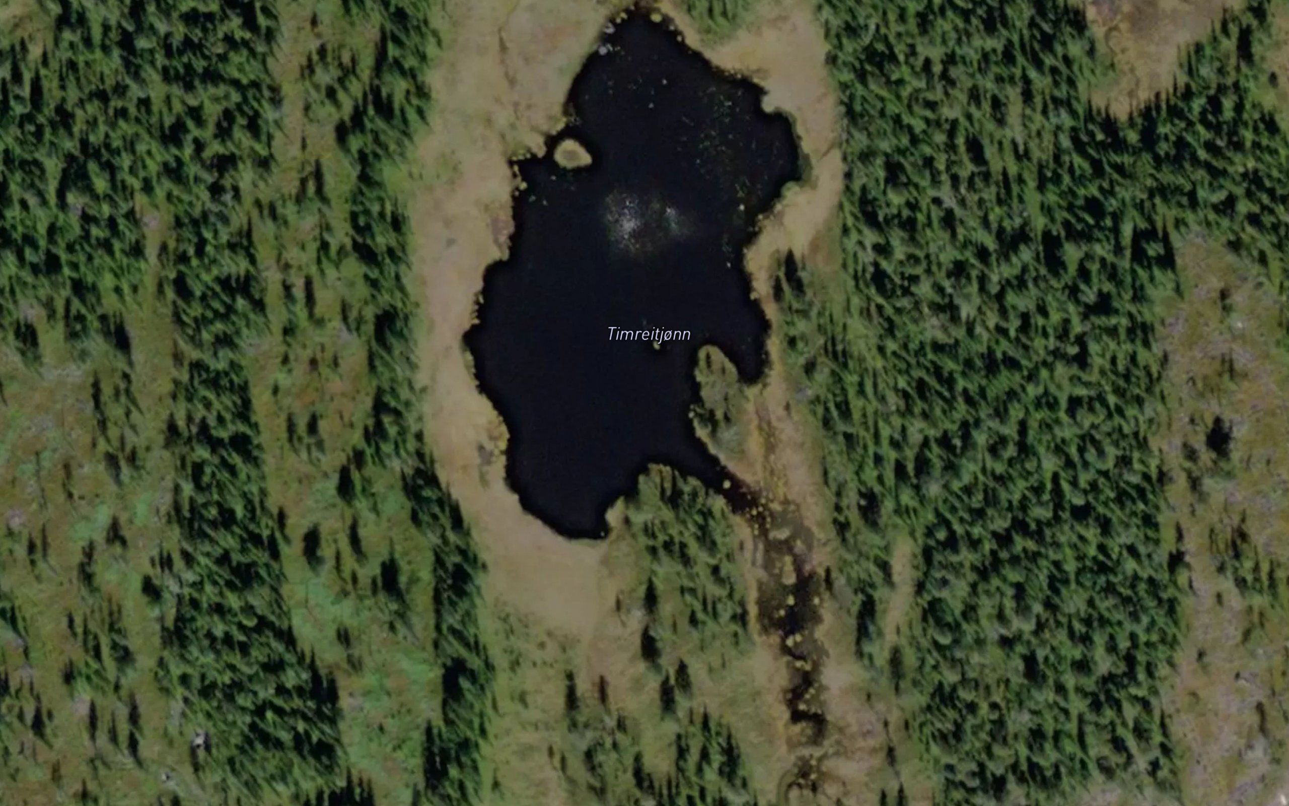 Timretjorn