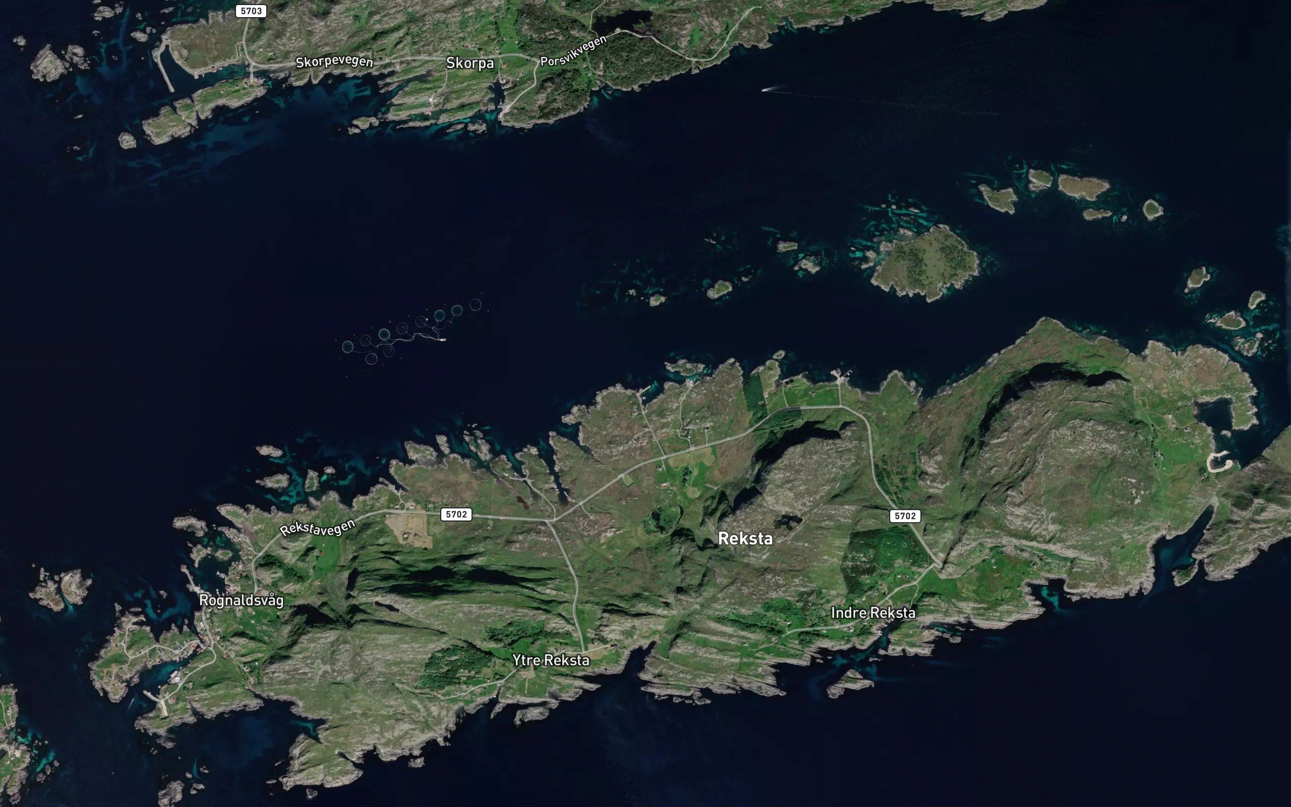 Merkevika