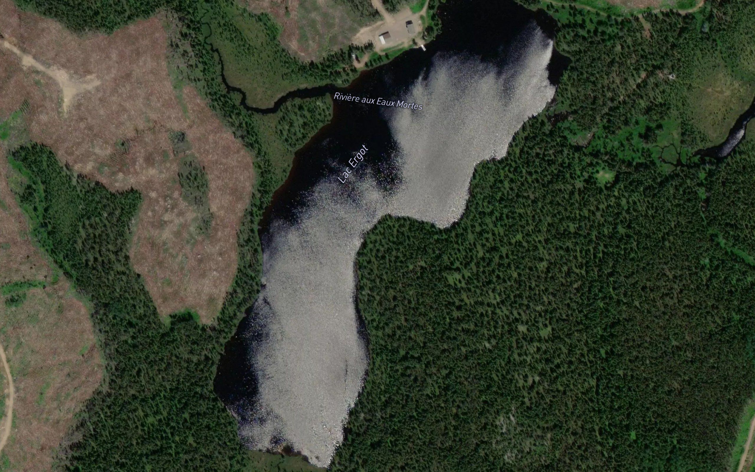 Lac Ergot
