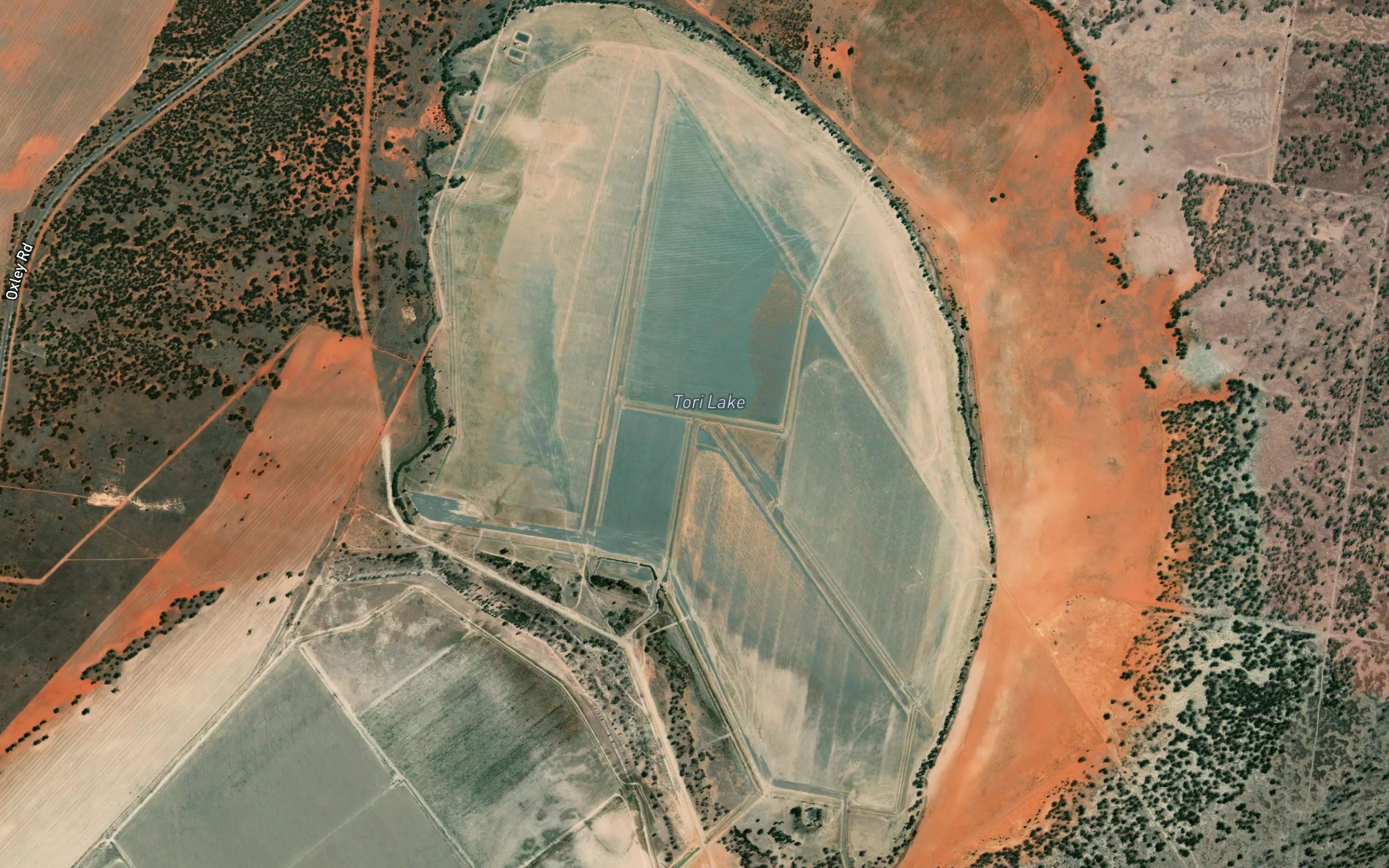 Tori Lake