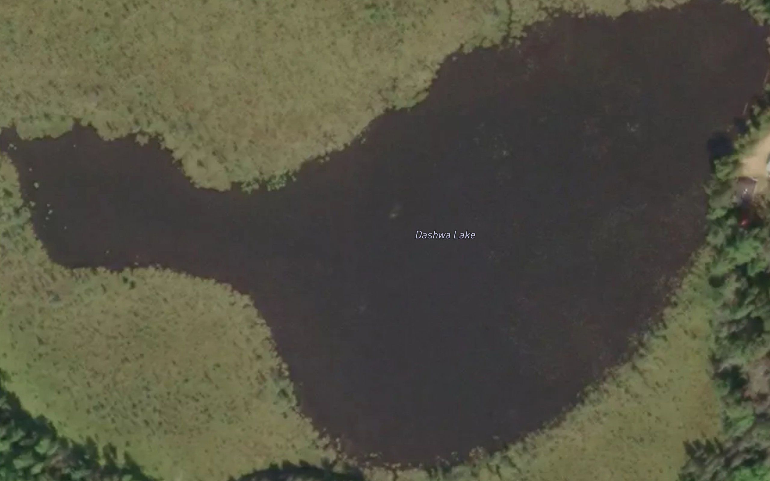 Dashwa Lake