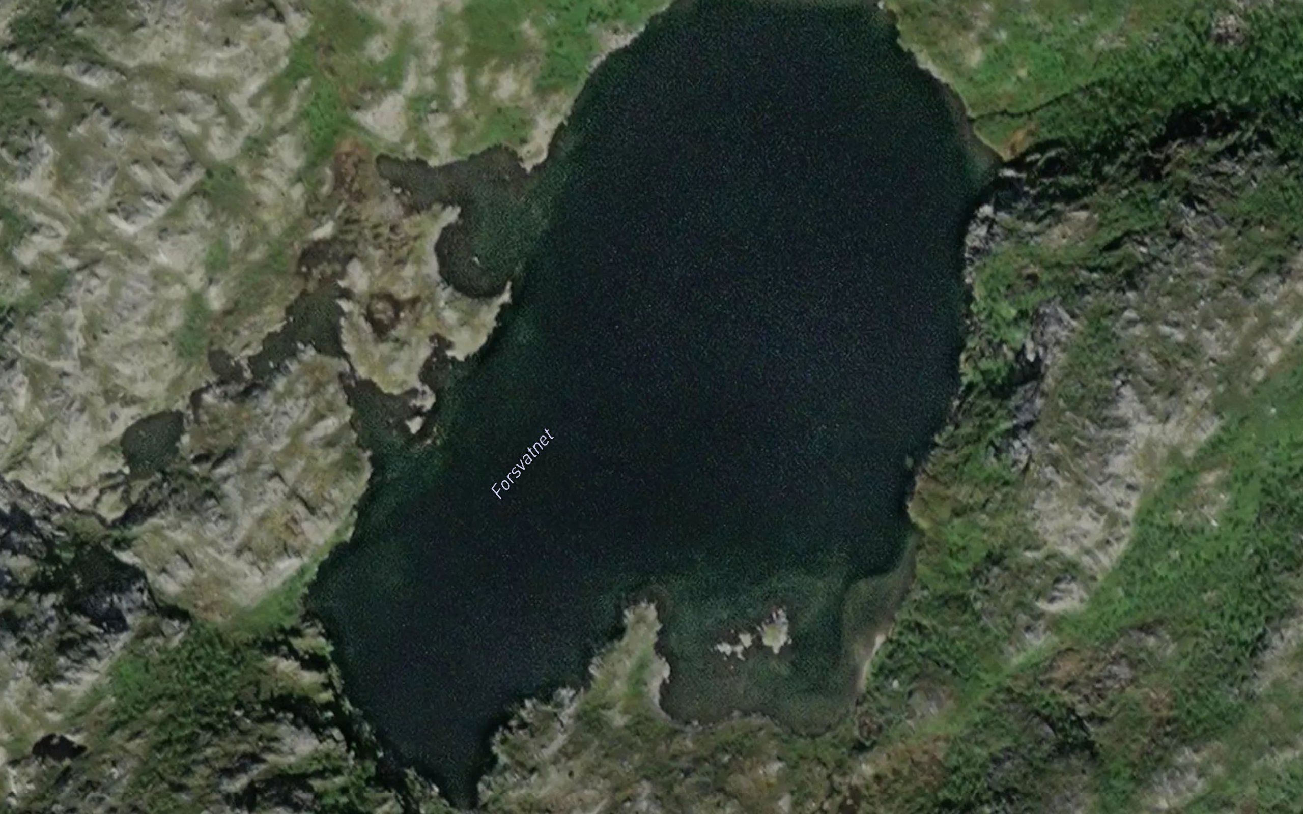 Forsvatnet