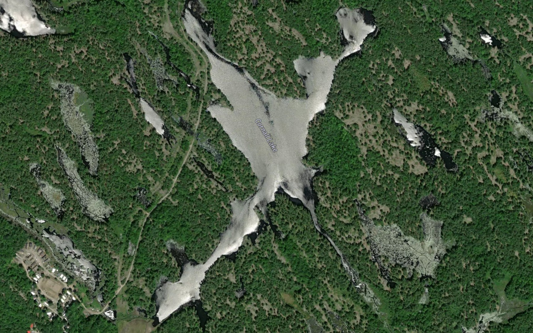Satellite map of the Cornall Lake