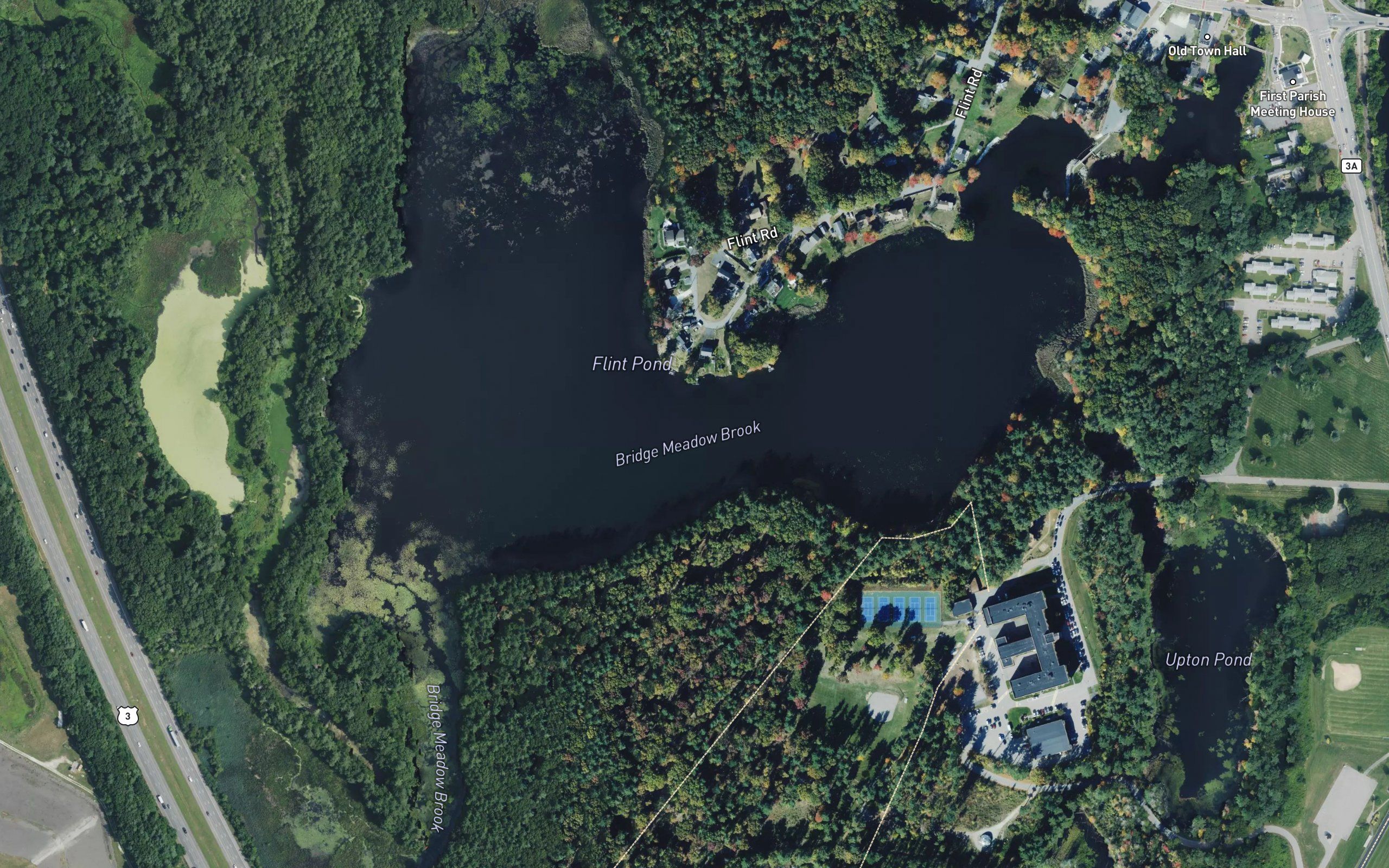 Flint Pond