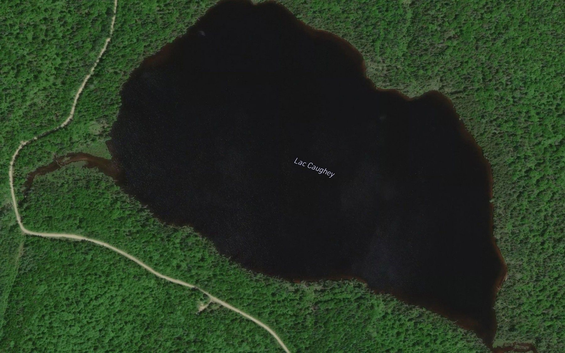 Satellite map of the Lac Caughey