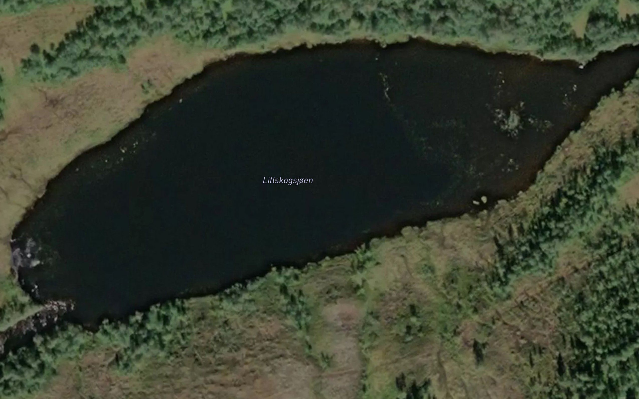 Litlskogsjoen