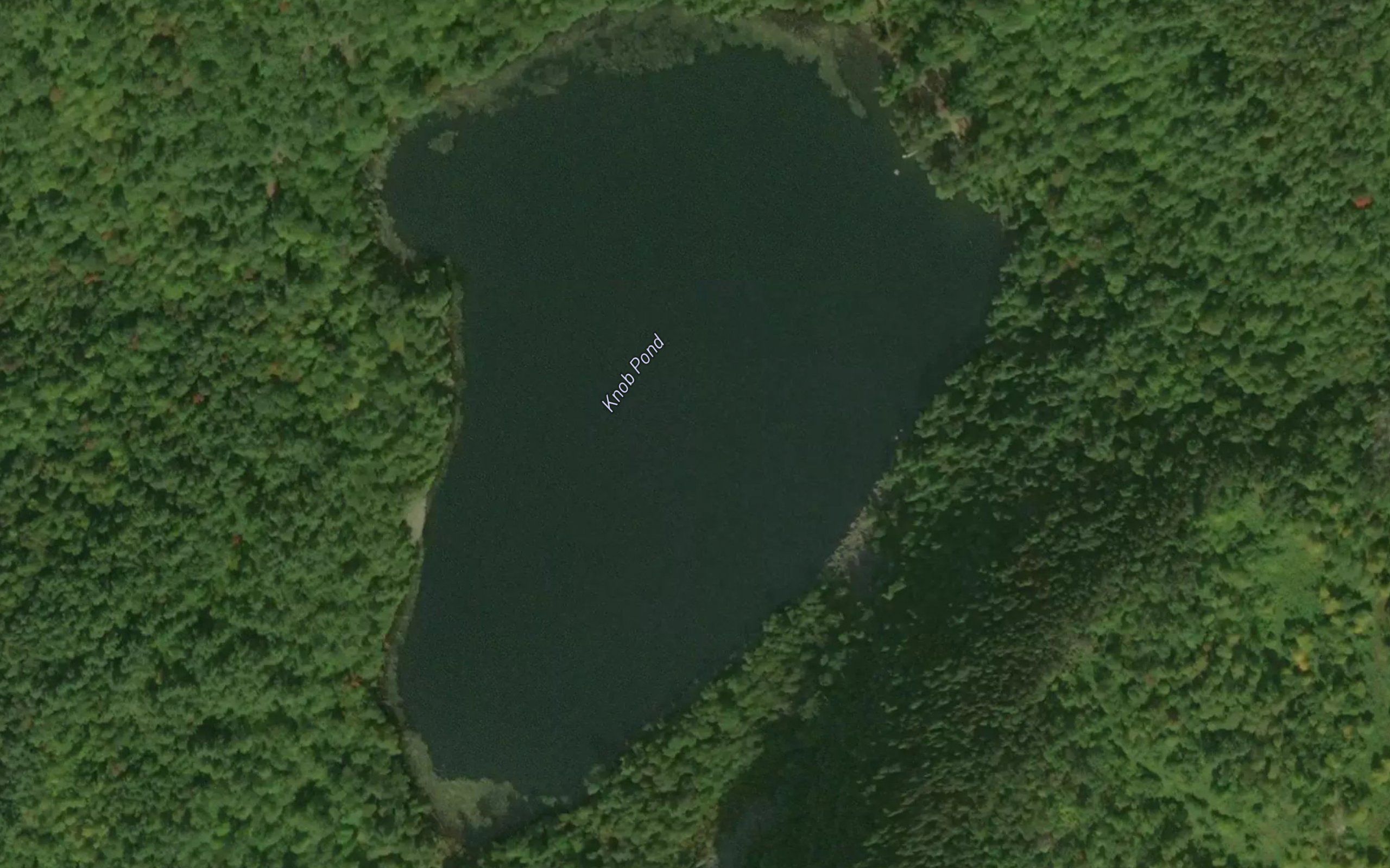 Knob Pond