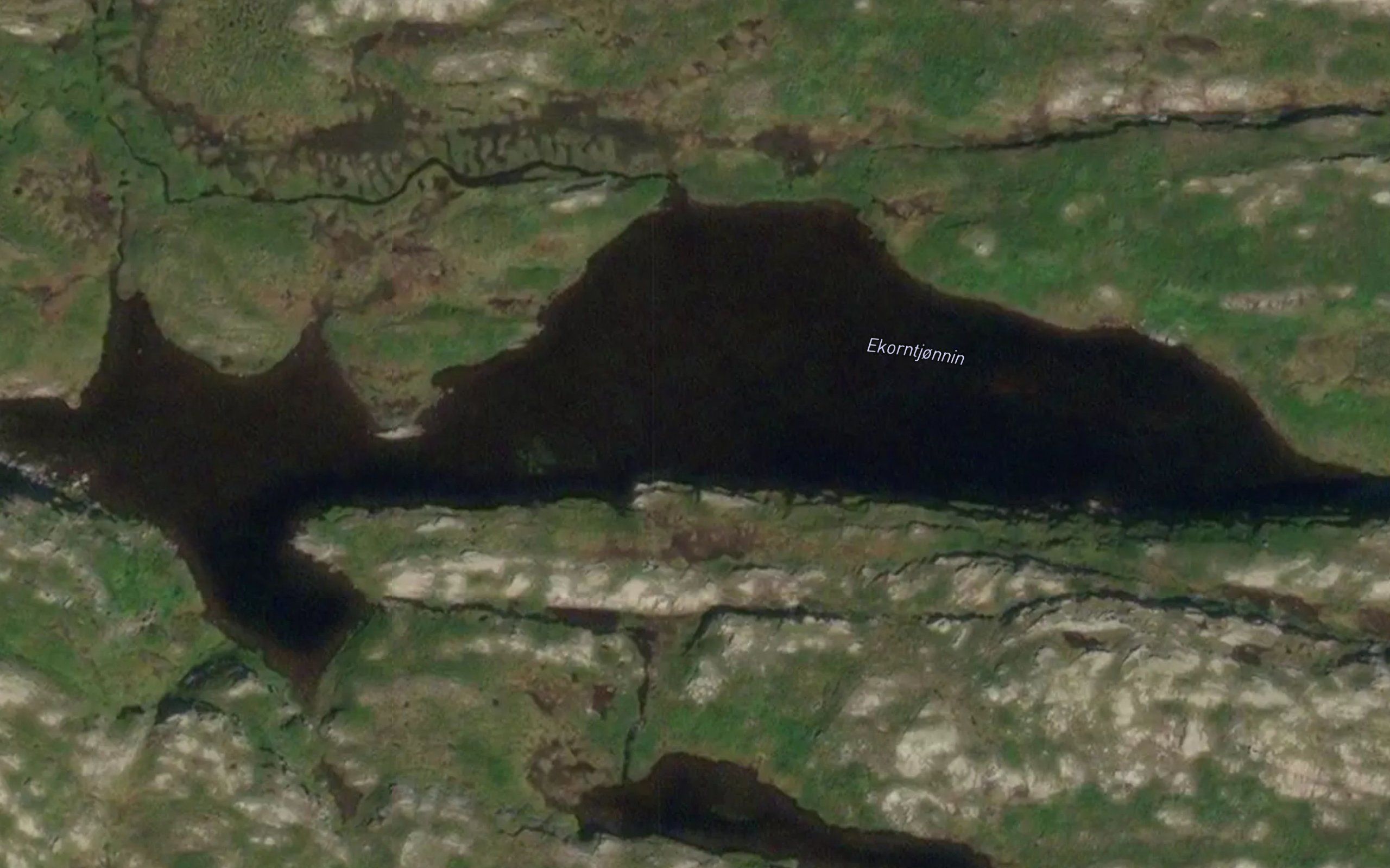 Ekorntjornin