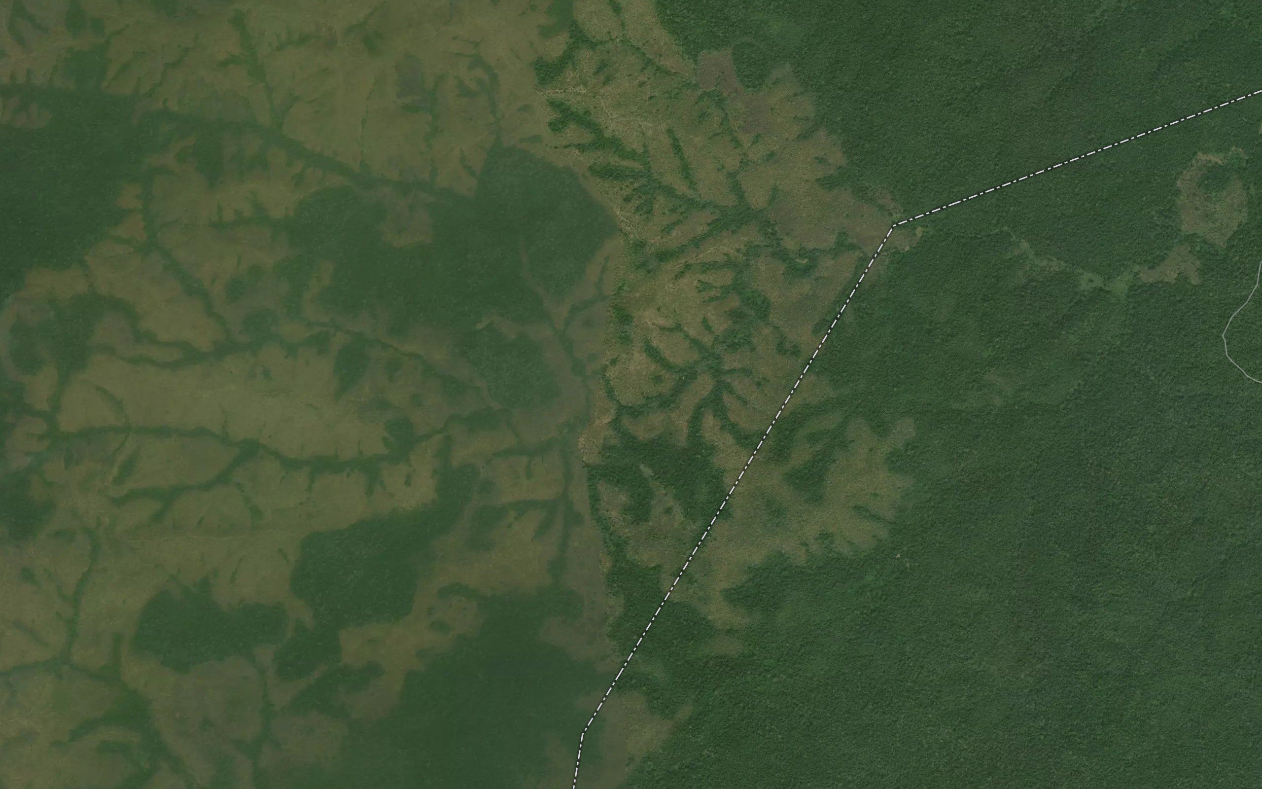 Ngouom