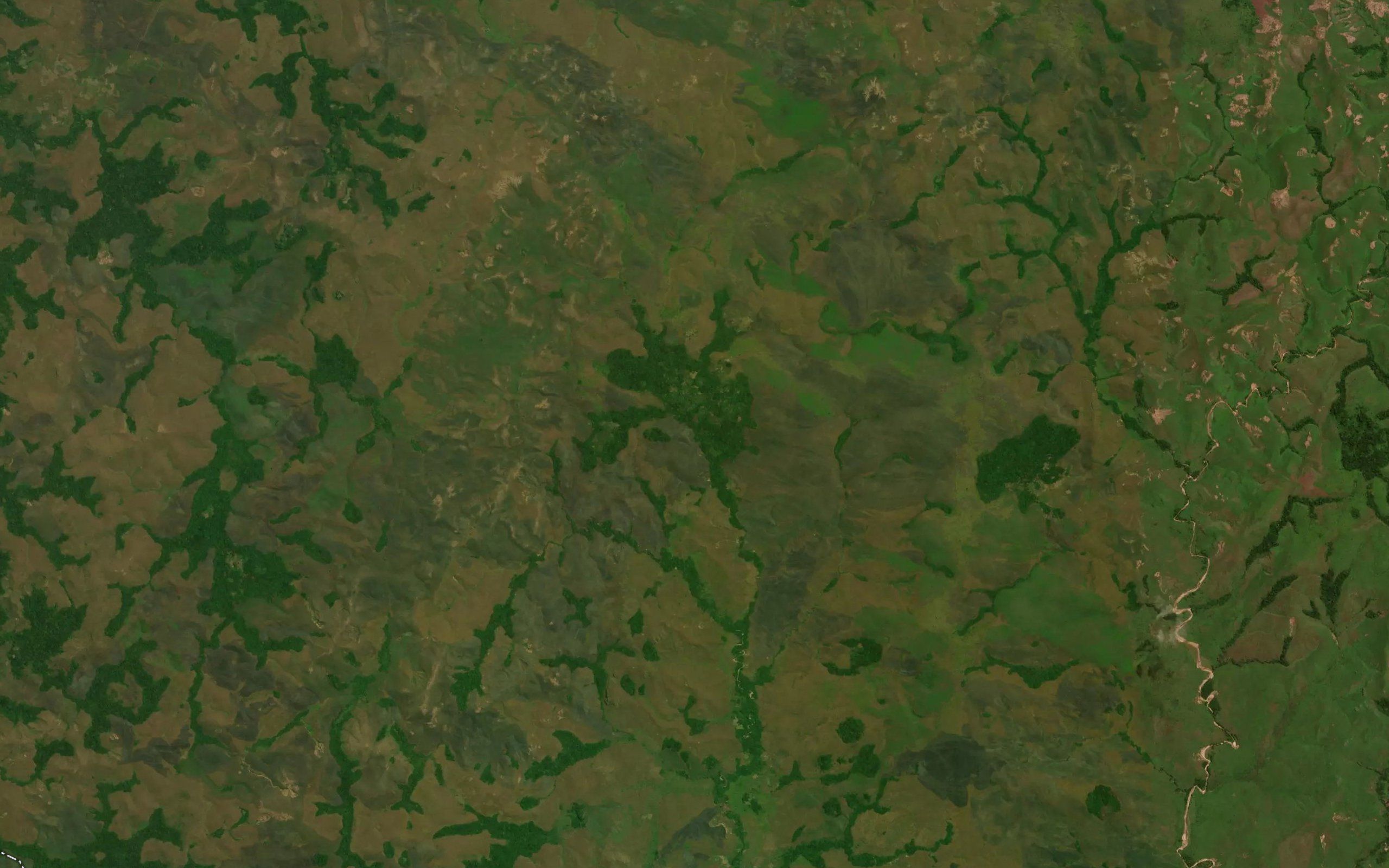 Mabuca