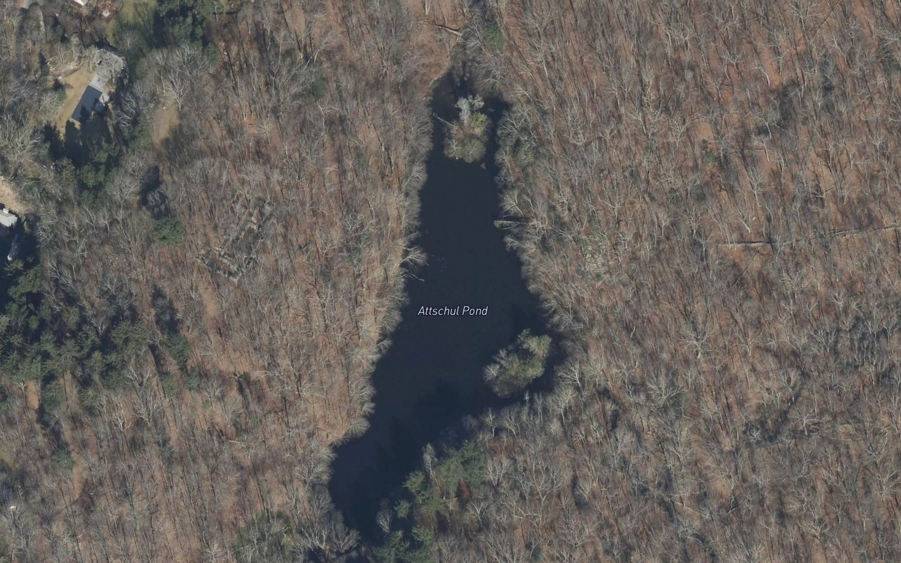 Satellite map of the Attschul Pond