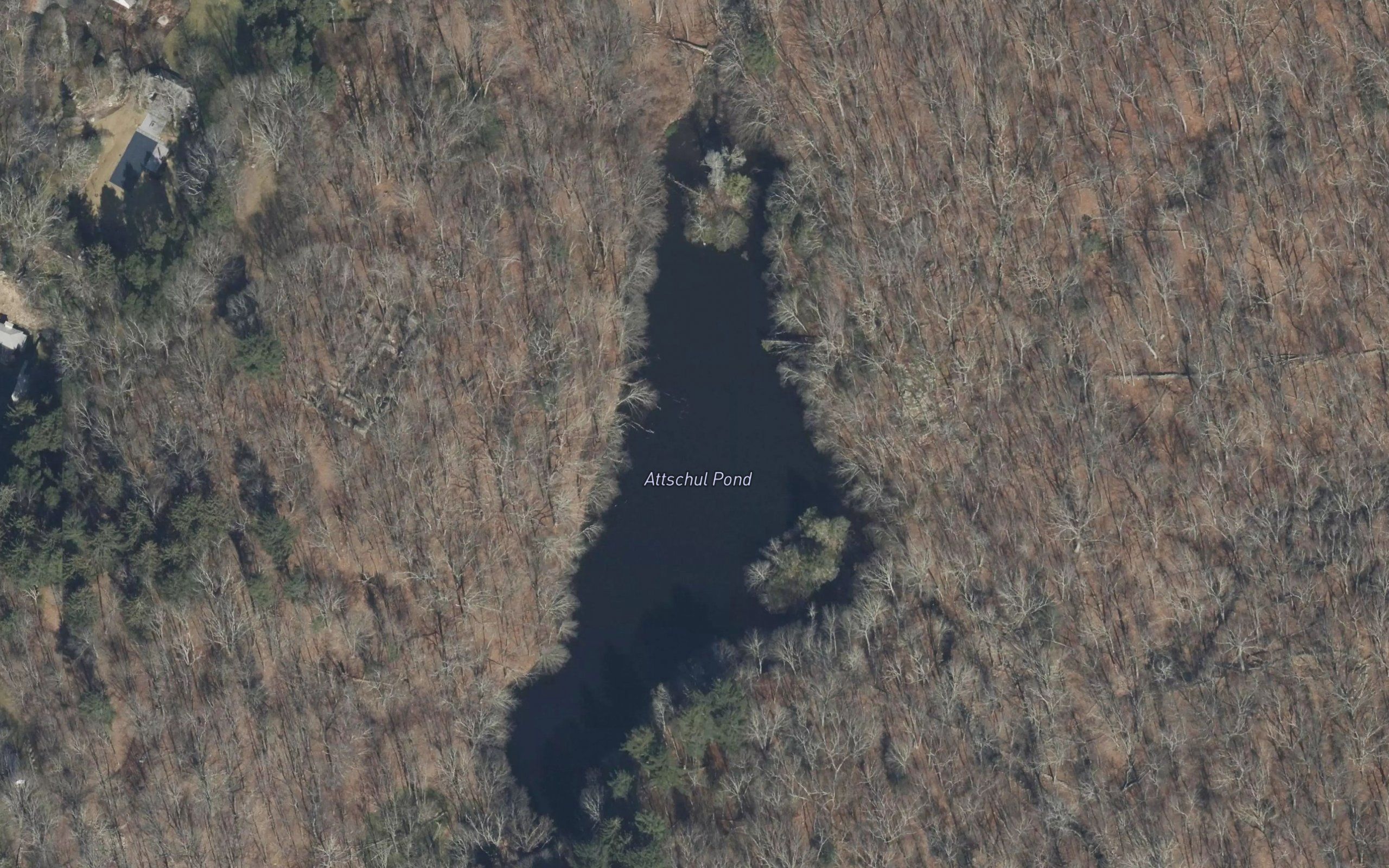Attschul Pond