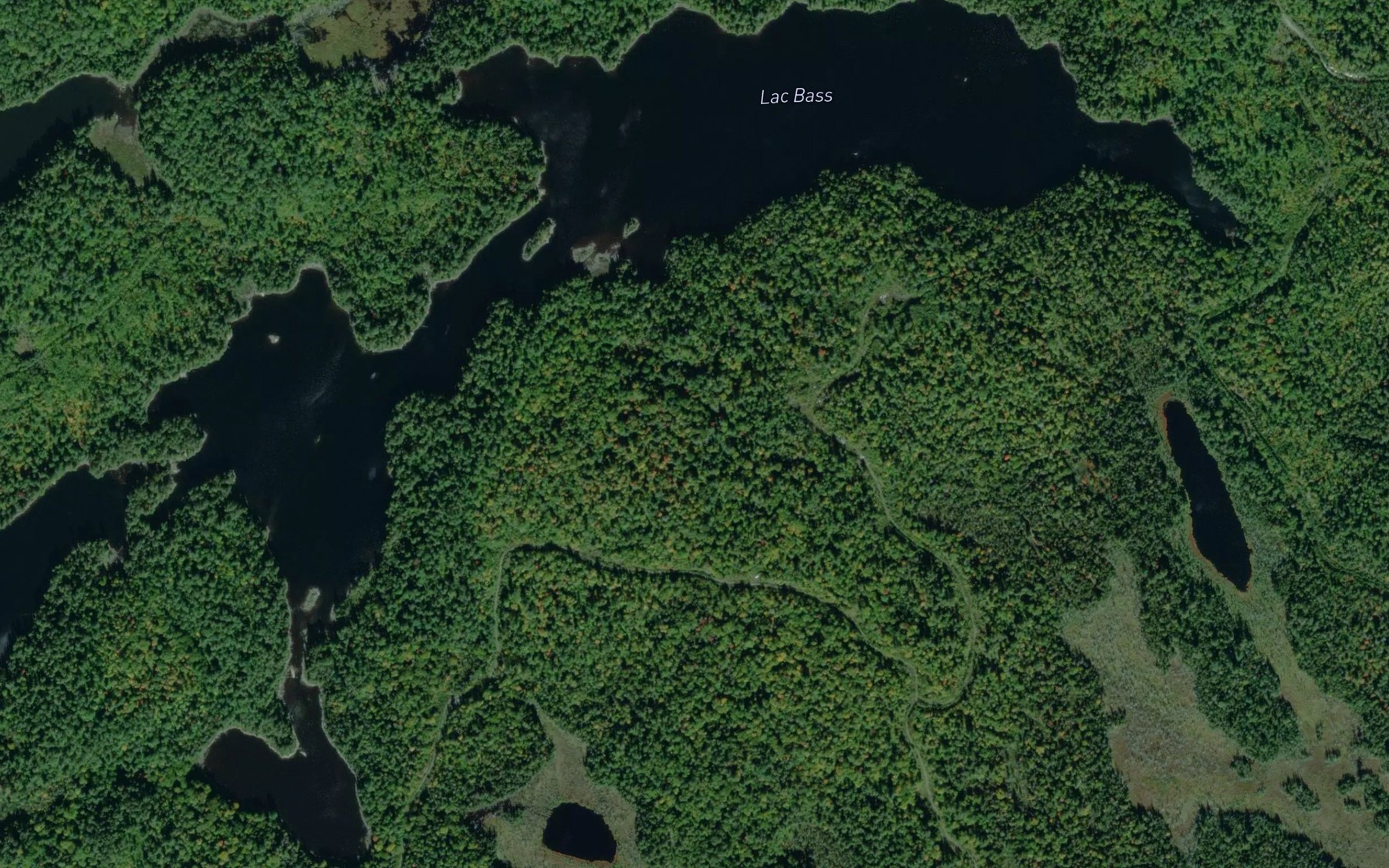 Satellite map of the Lac Bass
