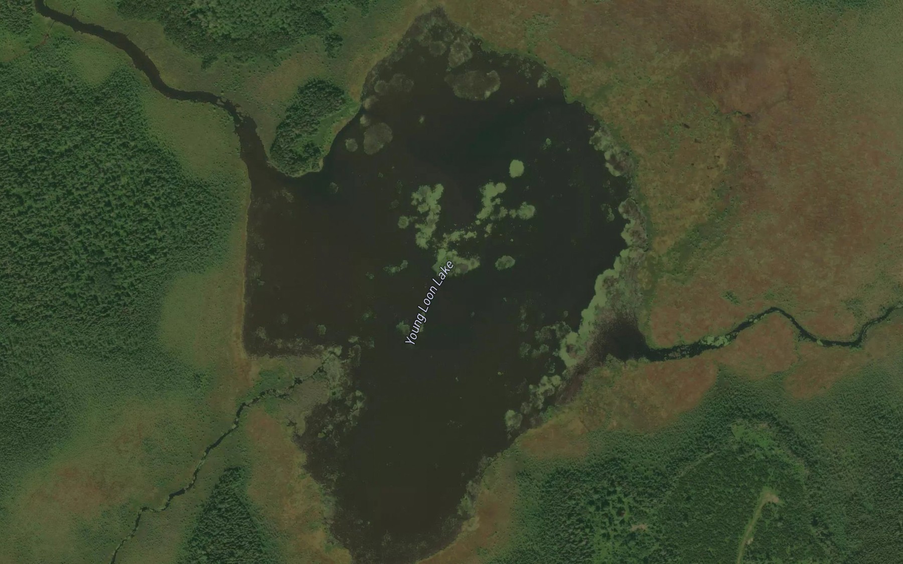 Satellite map of the Young Loon Lake