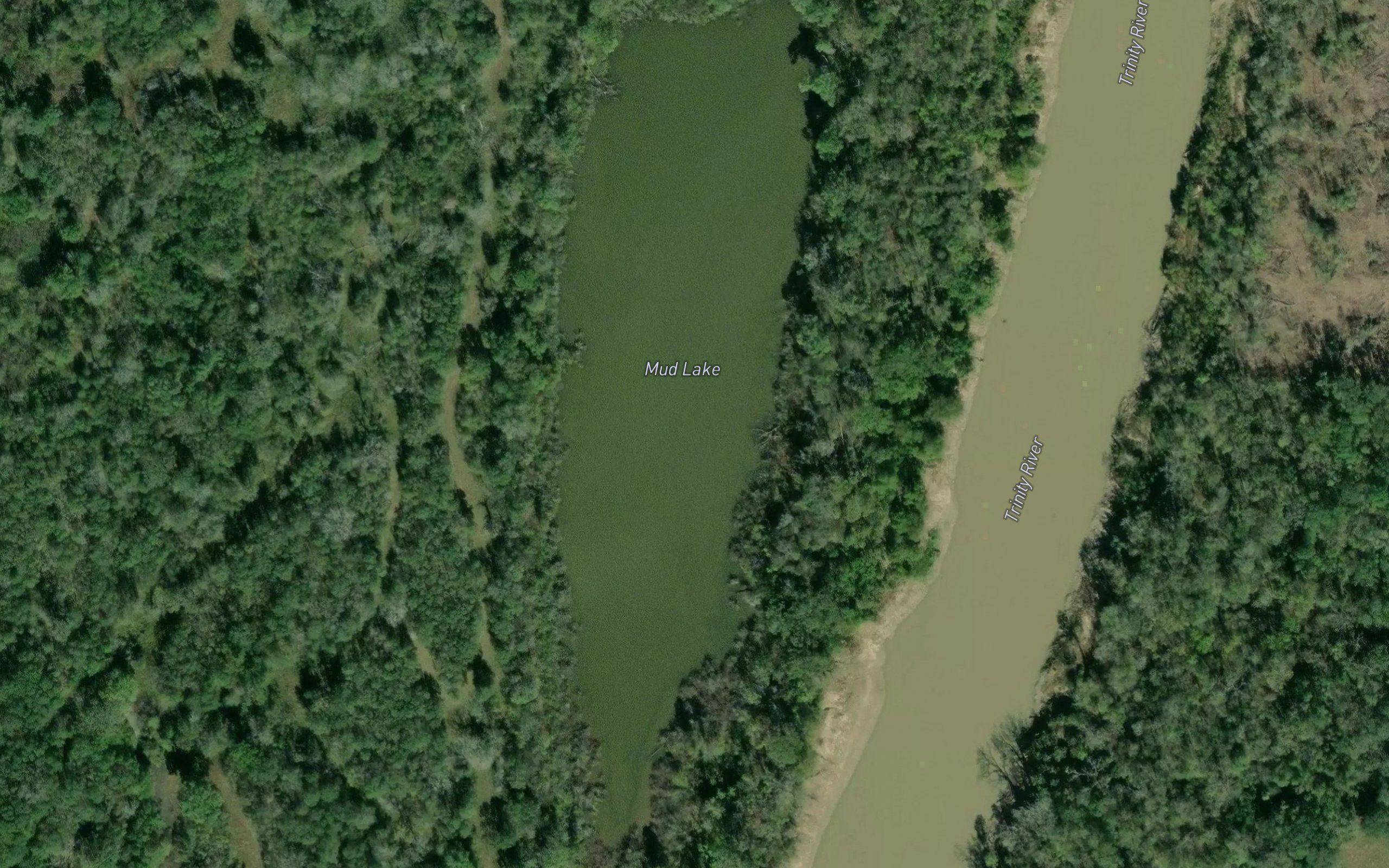 Mud Lake
