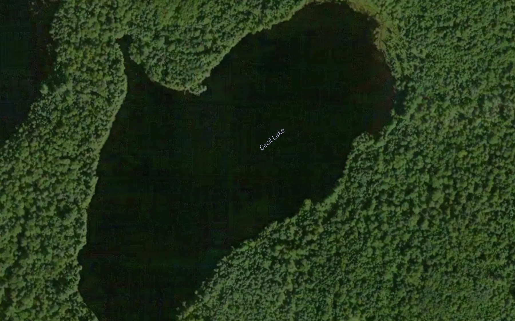 Satellite map of the Cecil Lake
