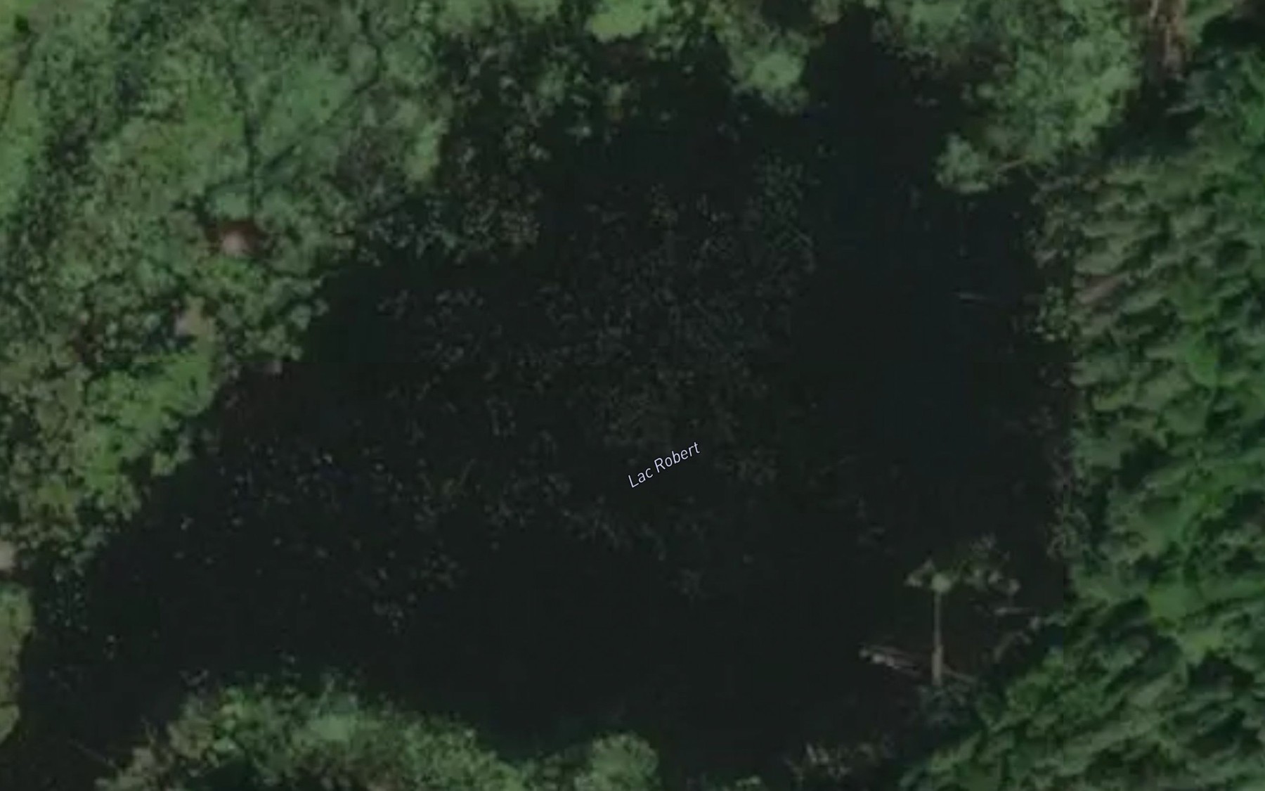Satellite map of the Lac Robert