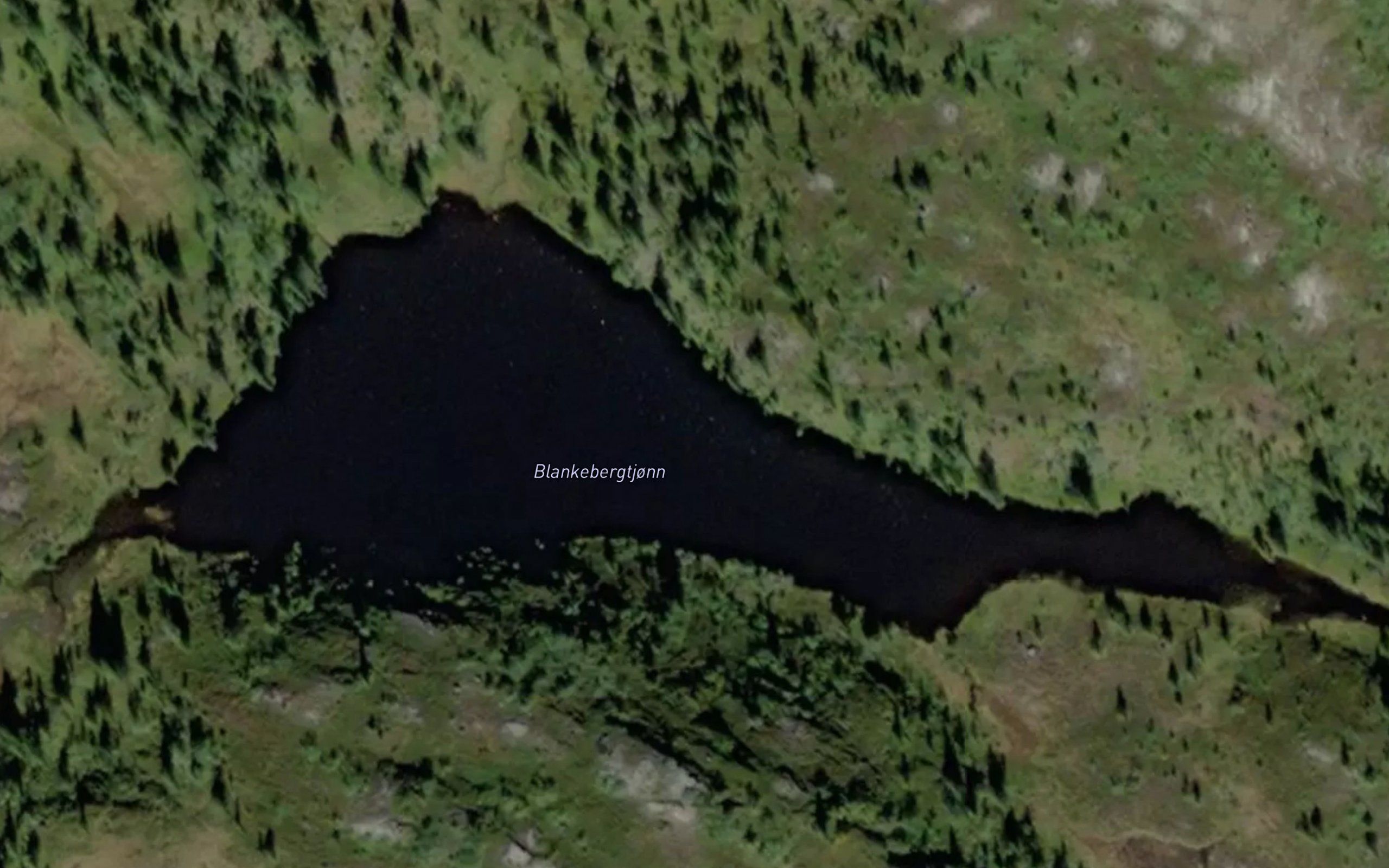 Blankebergtjonn