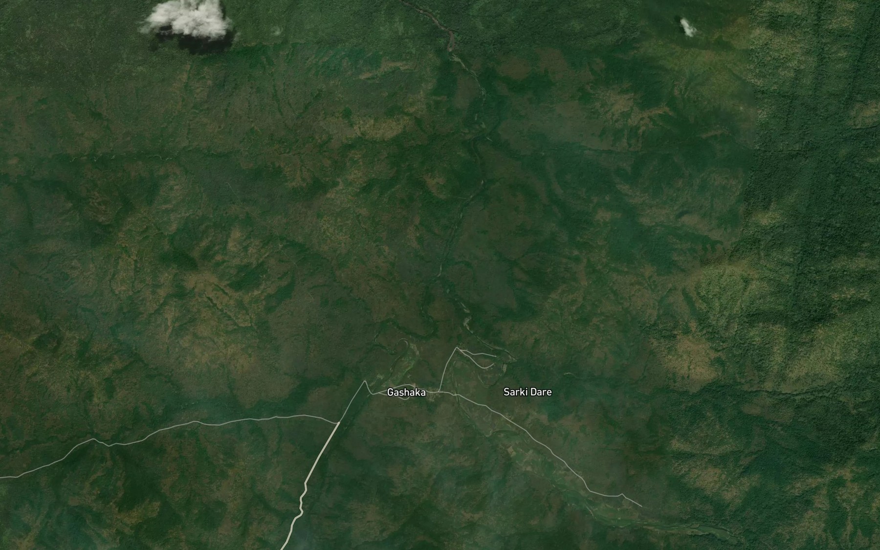 Satellite map of the River Gashaka