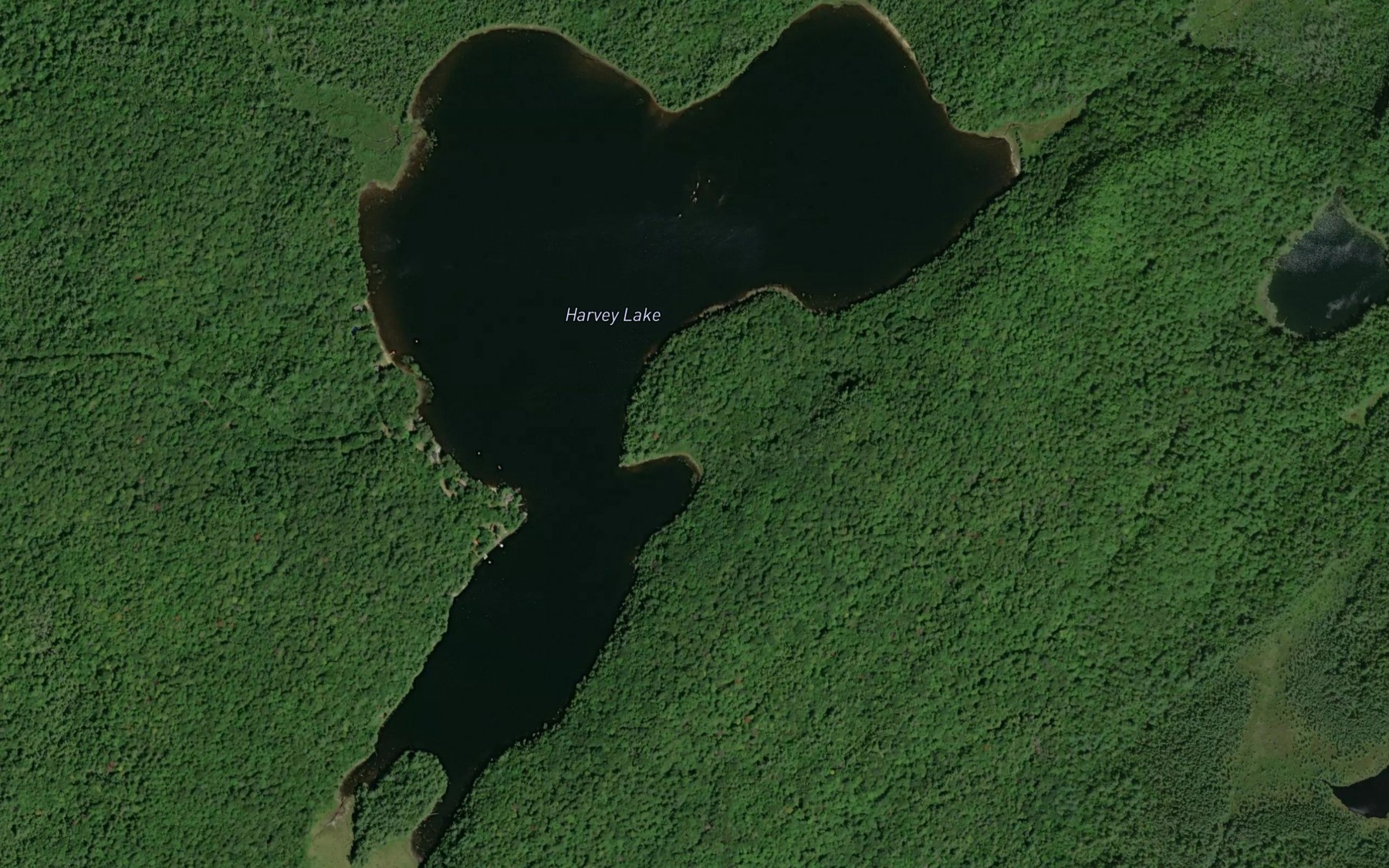 Satellite map of the Harvey Lake