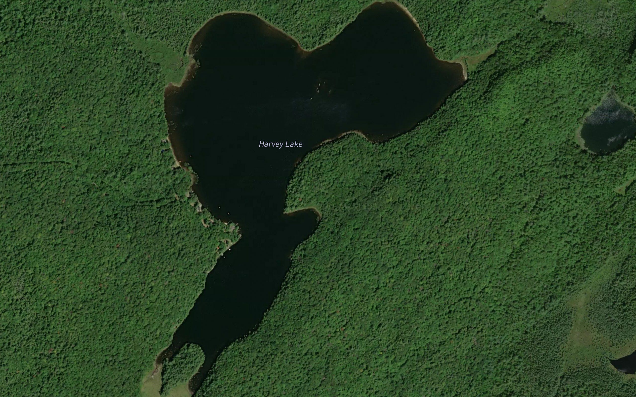 Harvey Lake