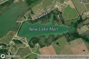 New Lake Mart