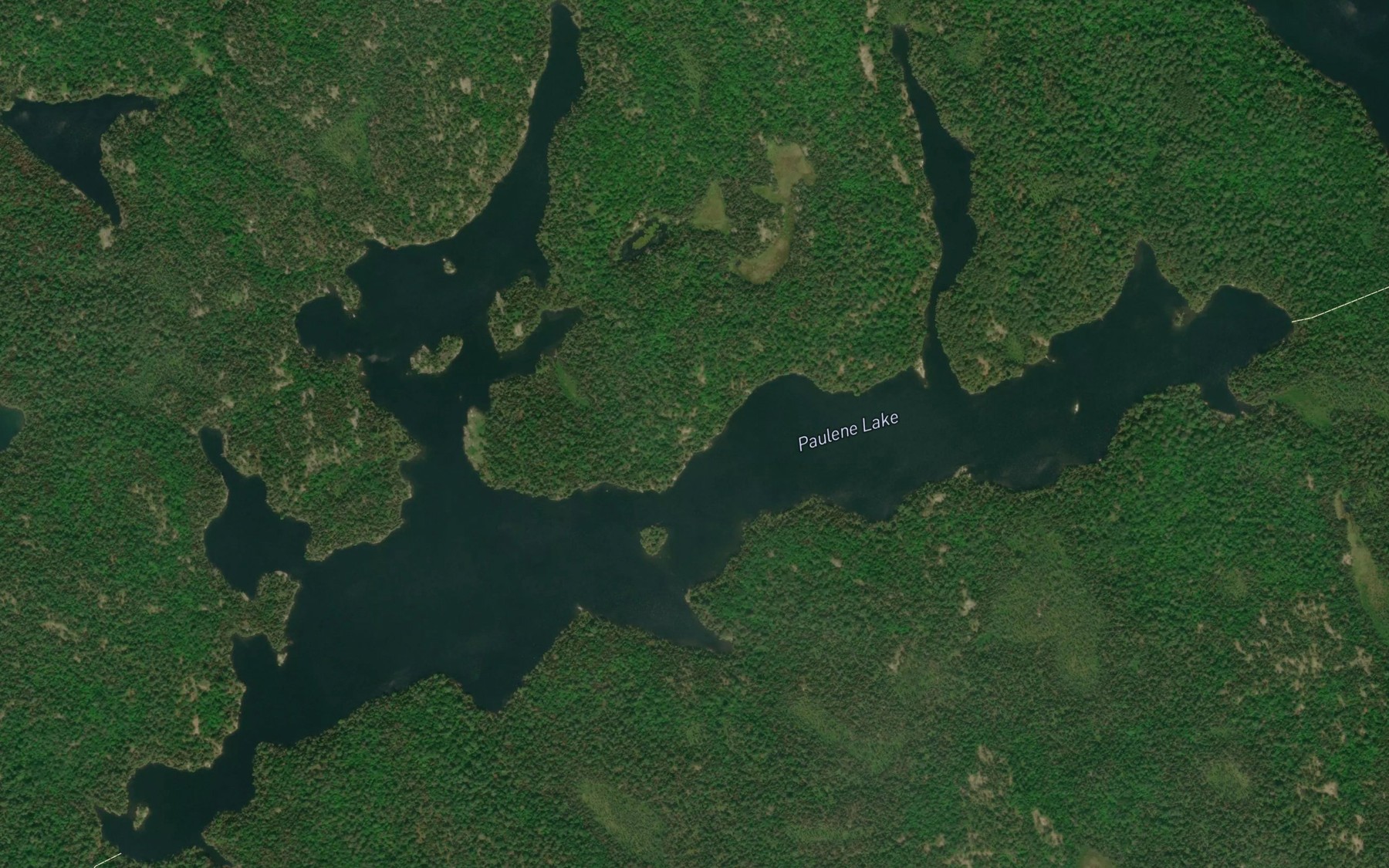 Satellite map of the Paulene Lake