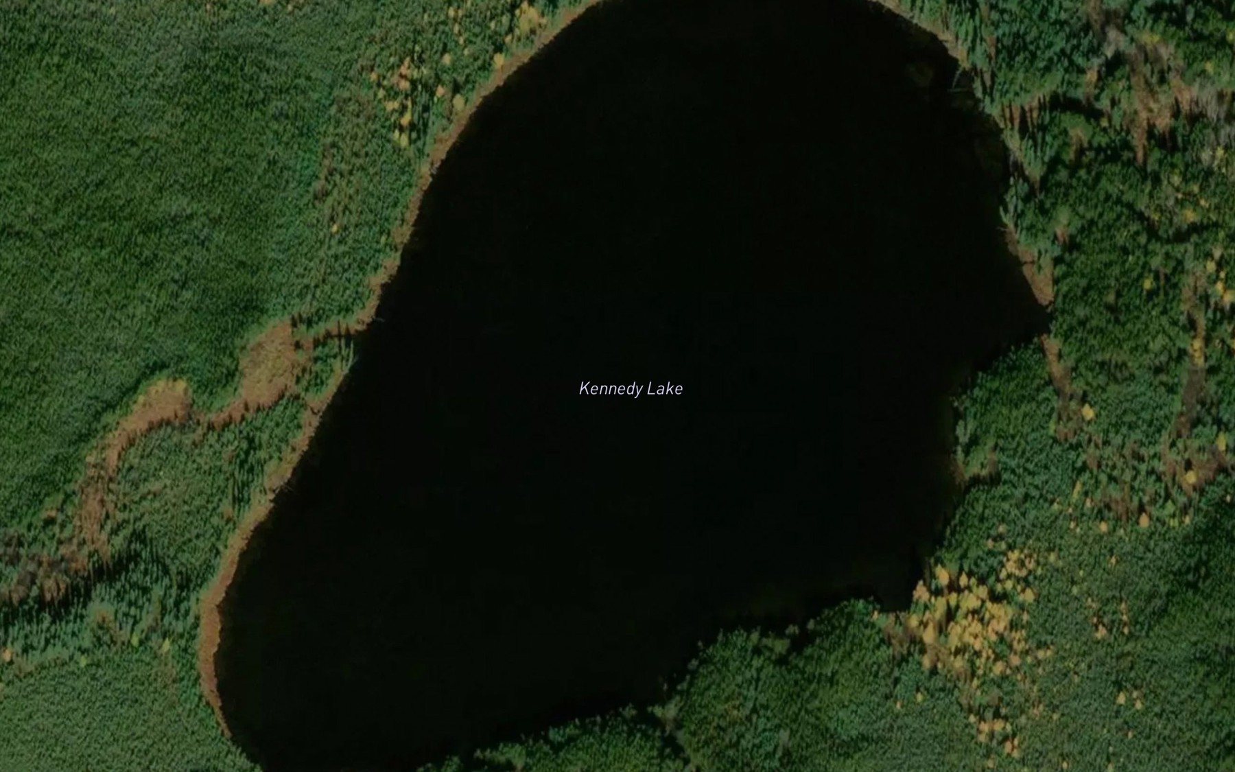Satellite map of the Kennedy Lake