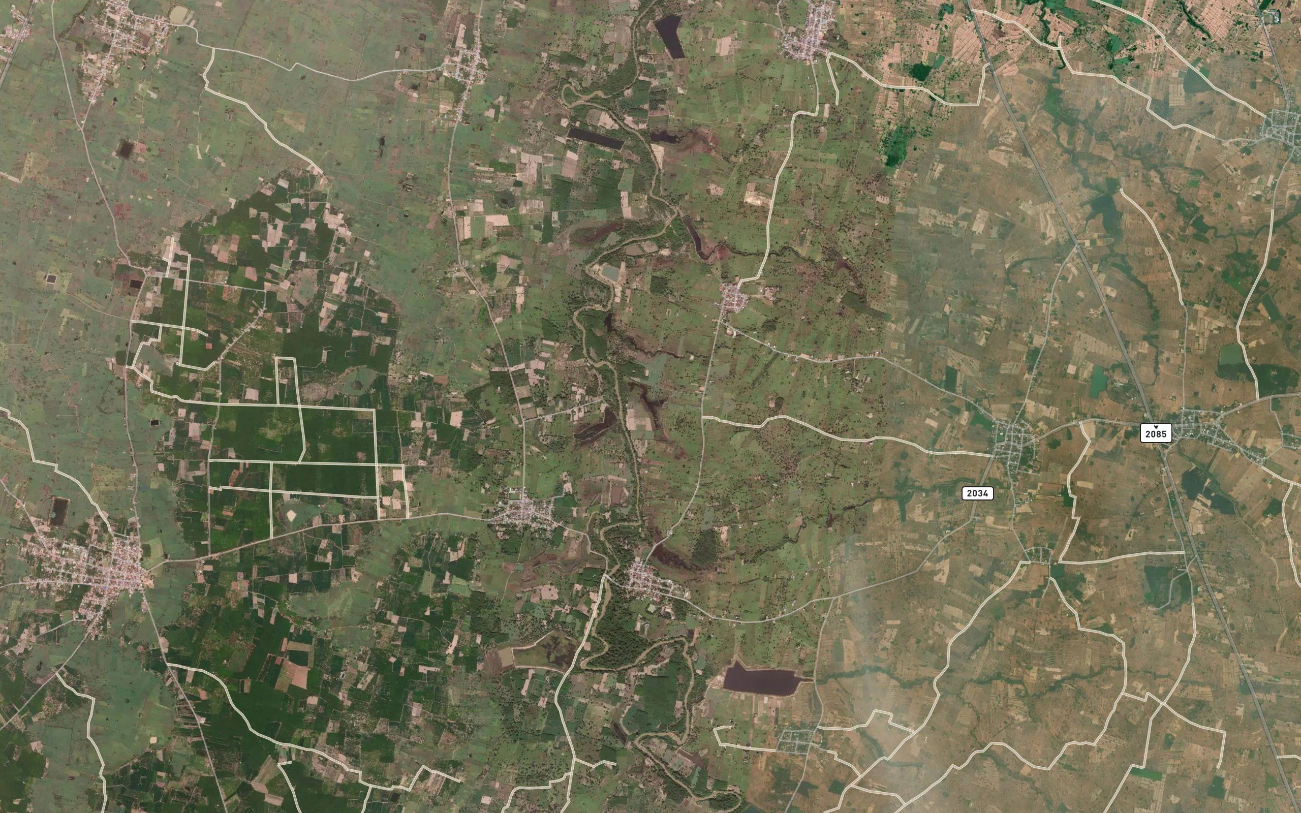 Nong Lom