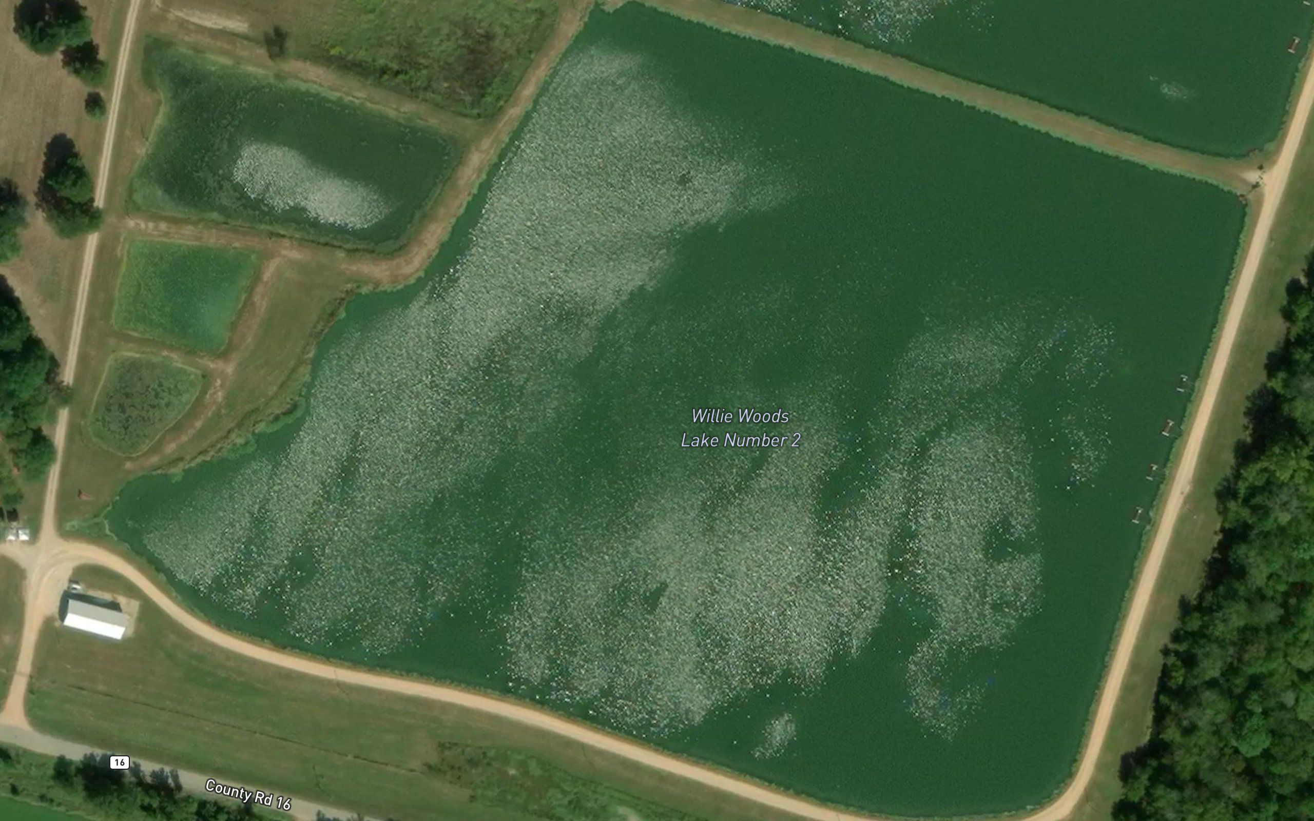 Willie Woods Lake