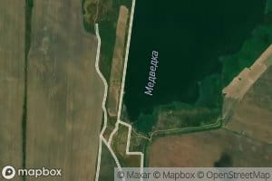 Medvedka