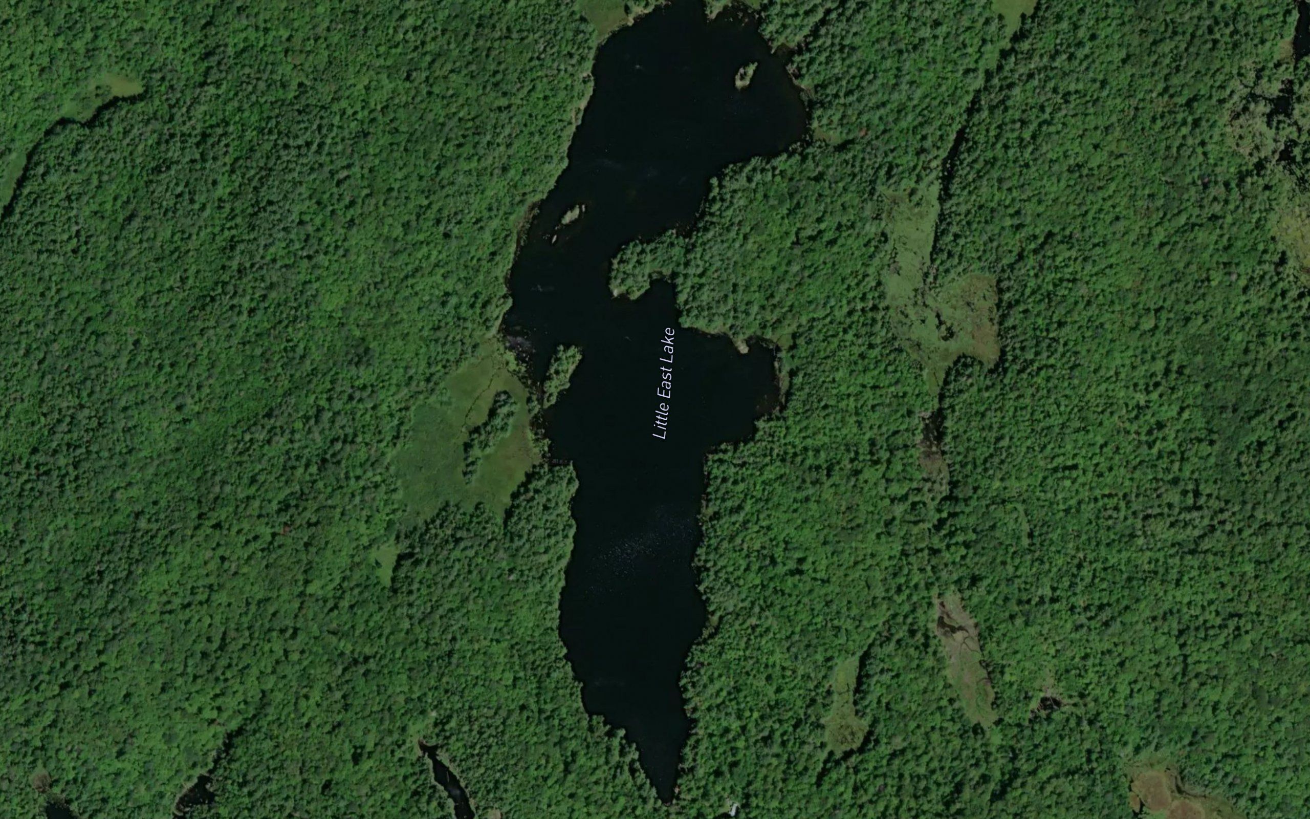 Little East Lake