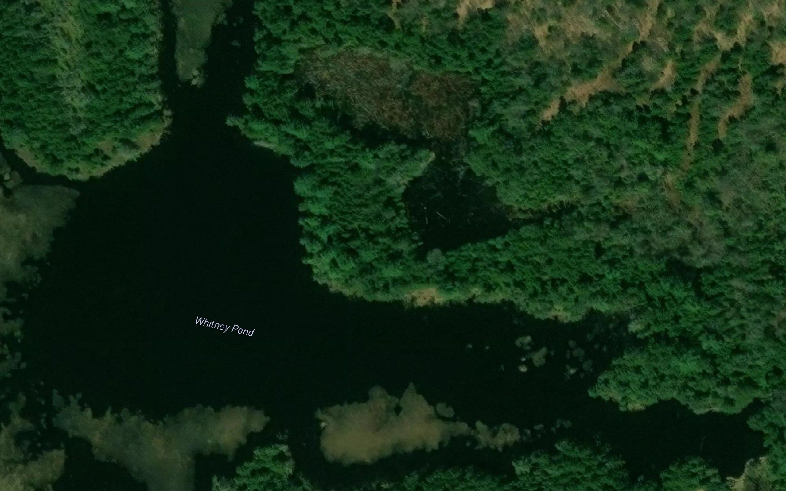 Whitney Pond