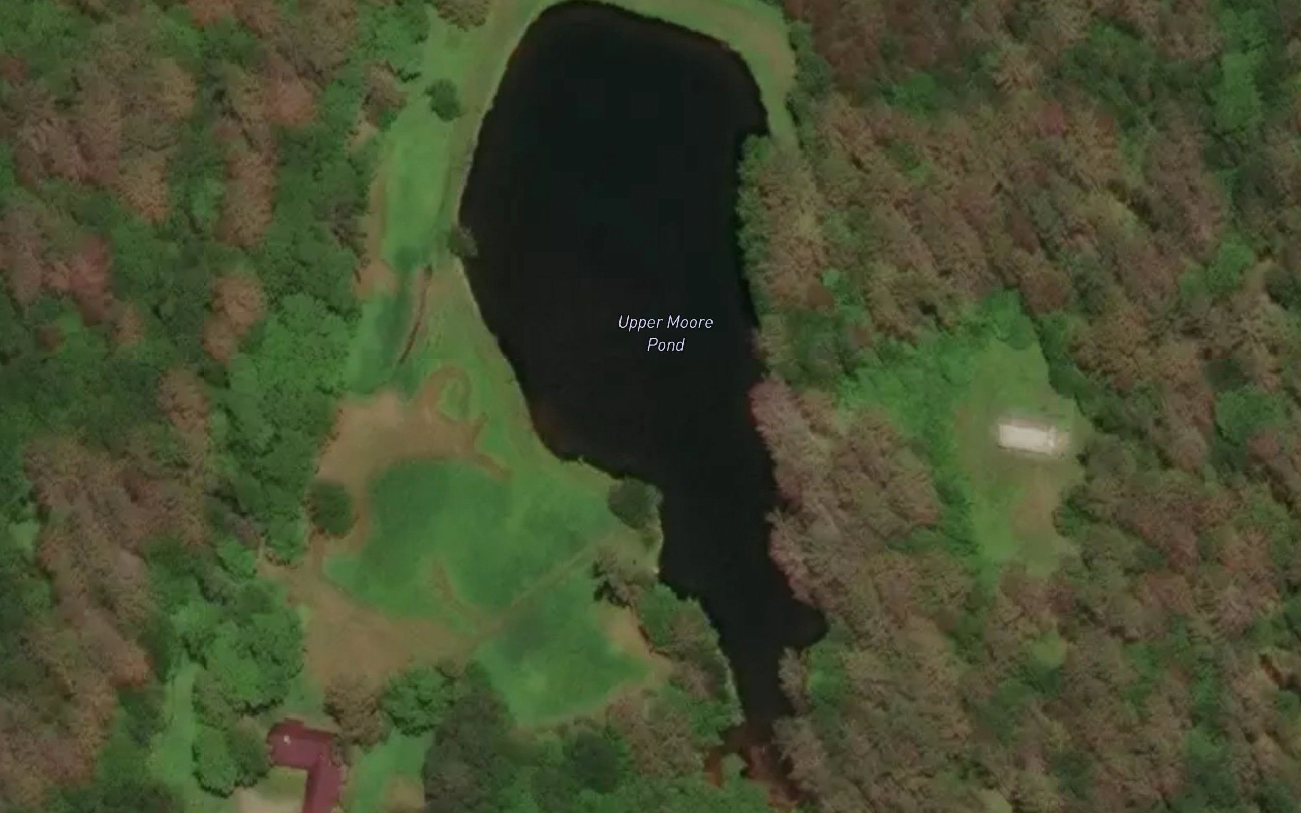 Upper Moore Pond