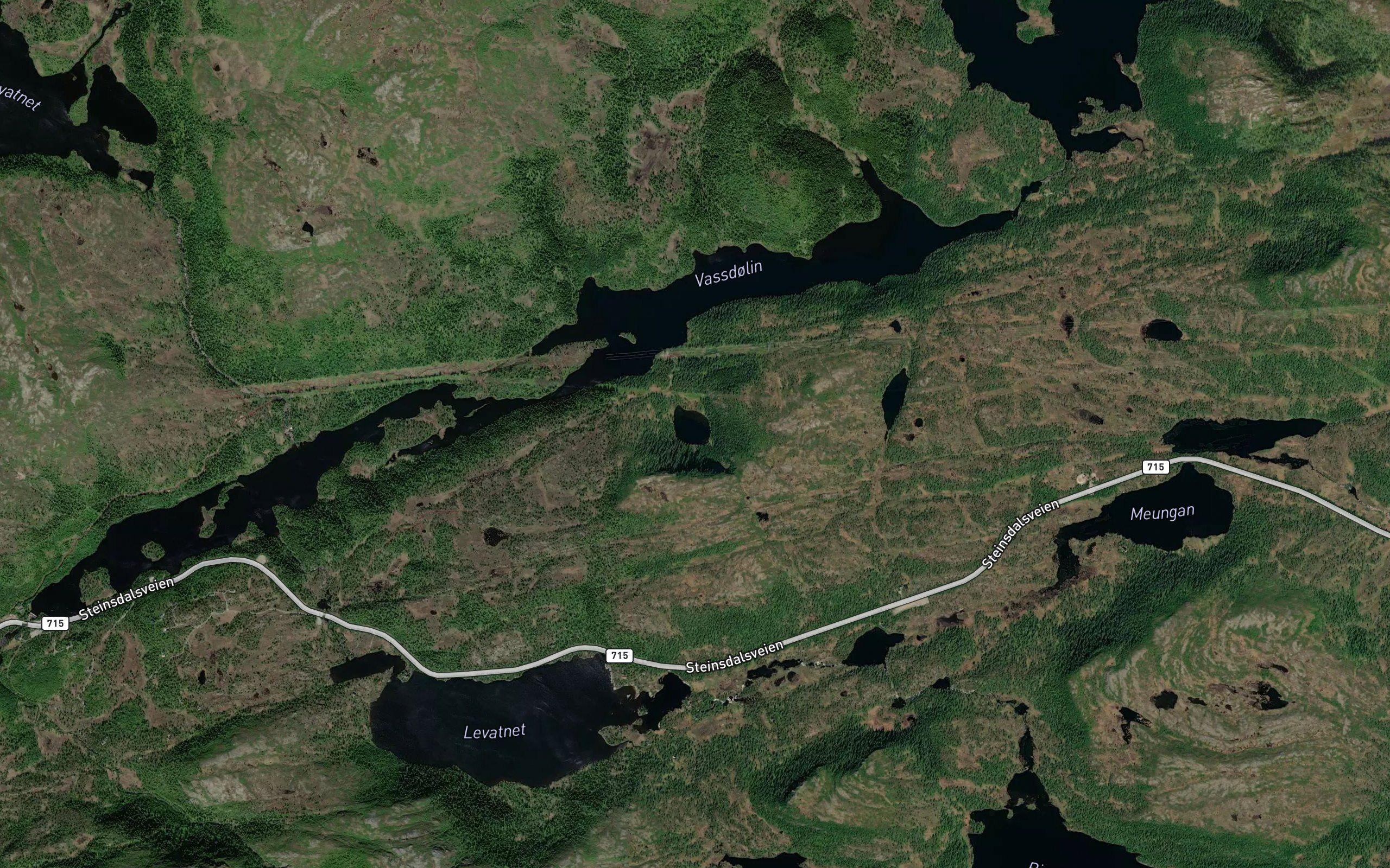 Svarttjonna
